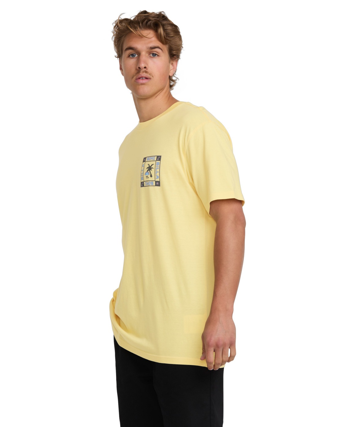 Billabong T-Shirt »Window Premium«