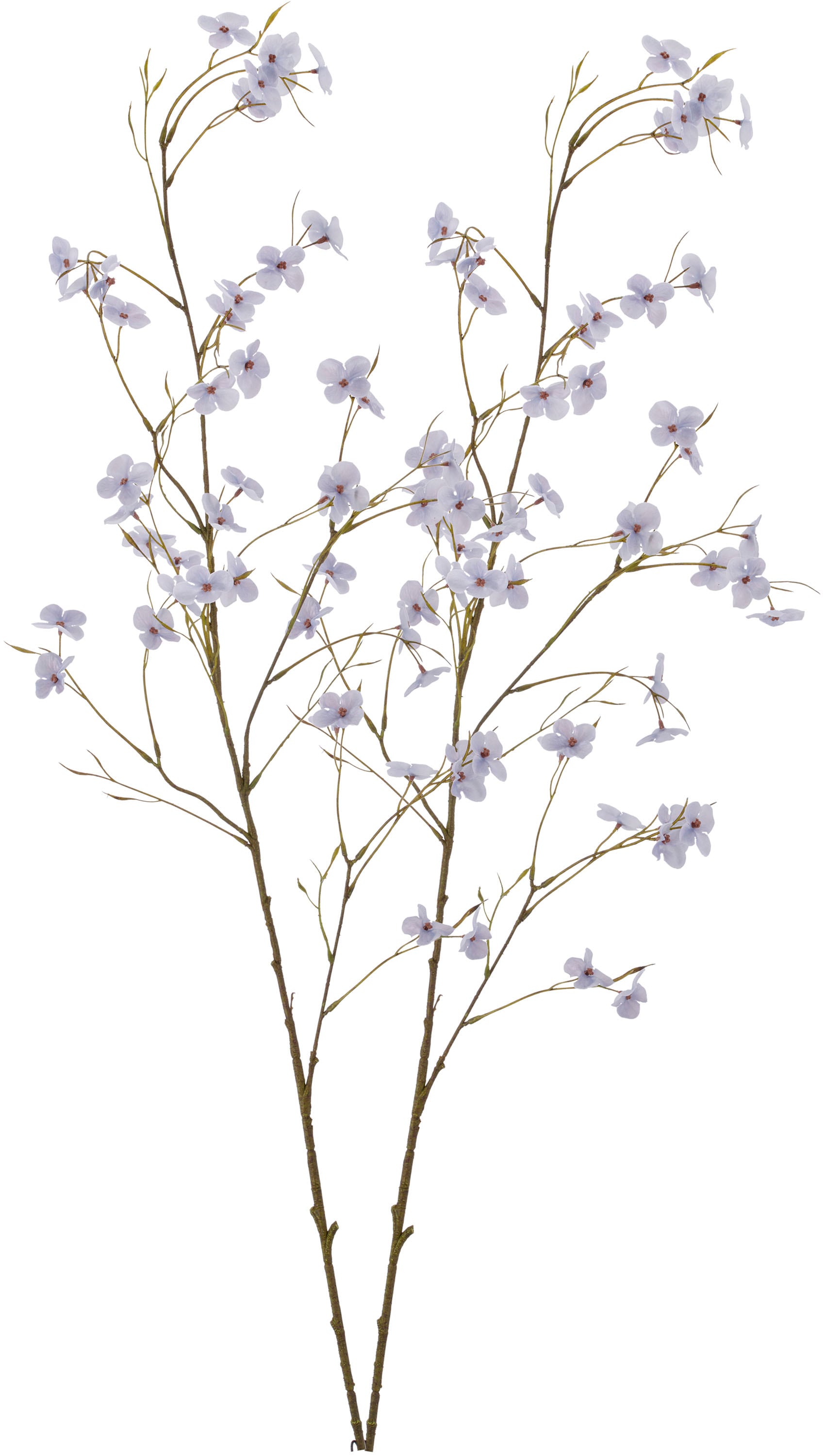 Creativ green Kunstzweig »Cornus« im minimalistischen Design