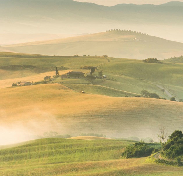 EXPRESS KÜCHEN Küchenrückwand »Toscana« grün
