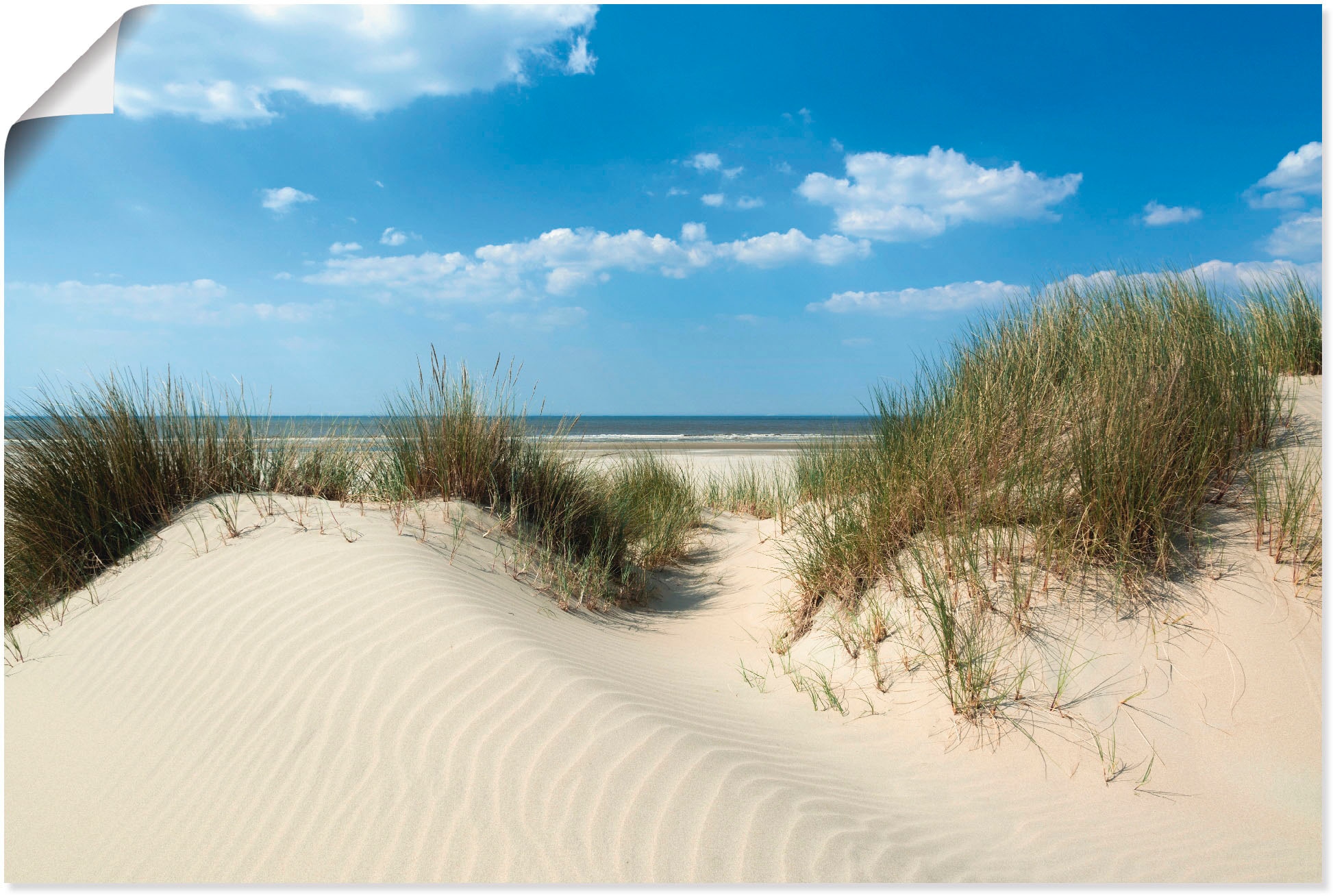 Artland Wandbild »Düne mit Meeresblick«, Strand, (1 St.), als Alubild, Outd günstig online kaufen