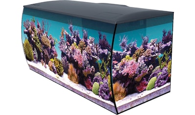 Aquarium »FLEX MARINE«, 123 l, BxTxH: 82x39x40 cm