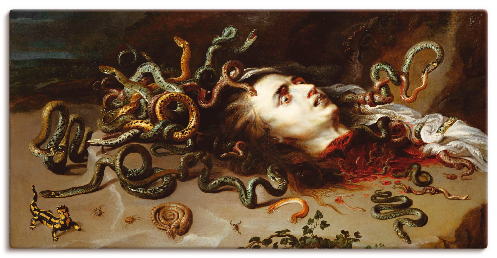 Artland Wandbild »Das Haupt der Medusa«, klassische Fantasie, (1 St.), als günstig online kaufen