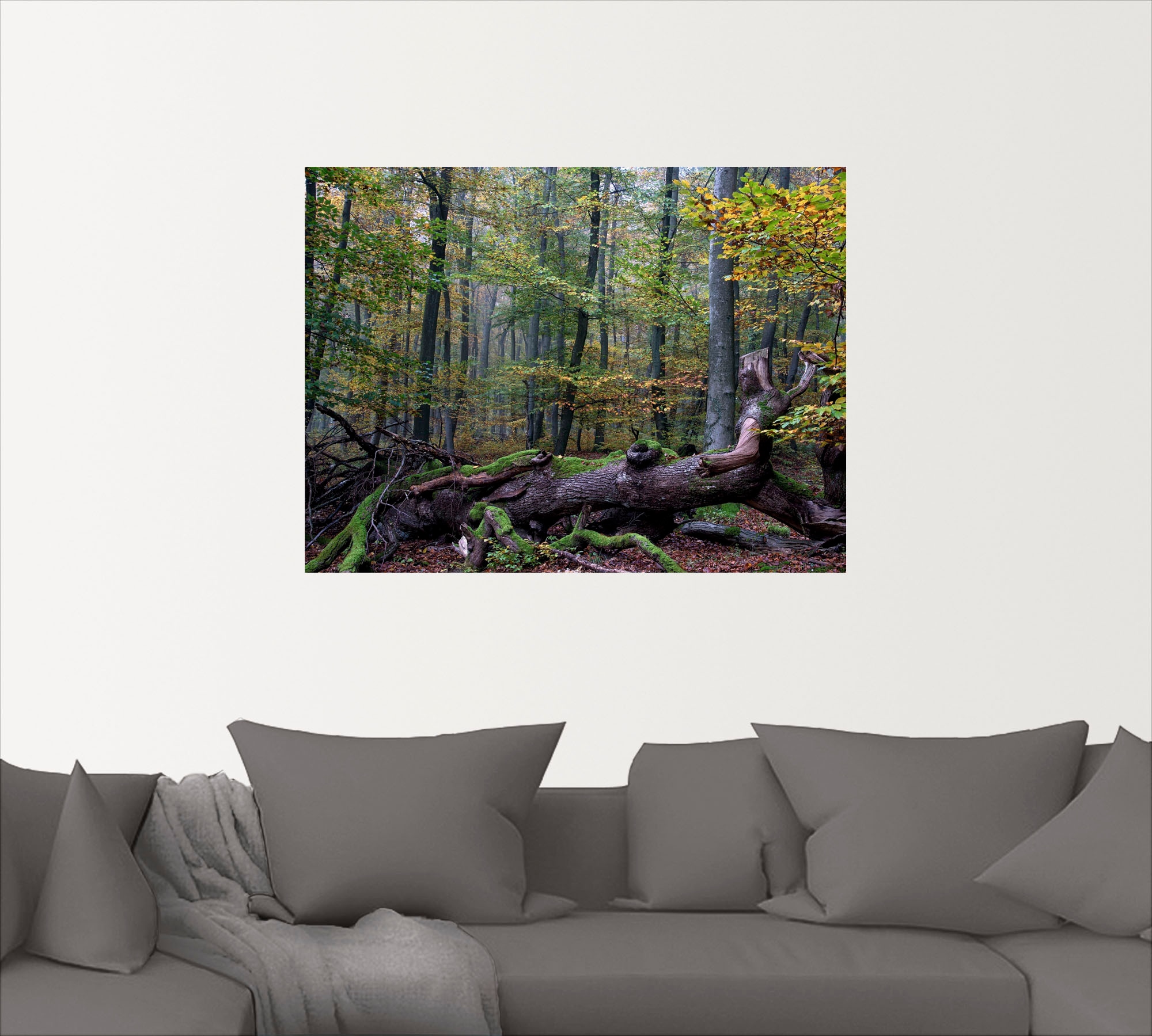 Artland Wandfolie »Ein alter Riese, neuer Lebensraum«, Wald, (1 St.), selbstklebend