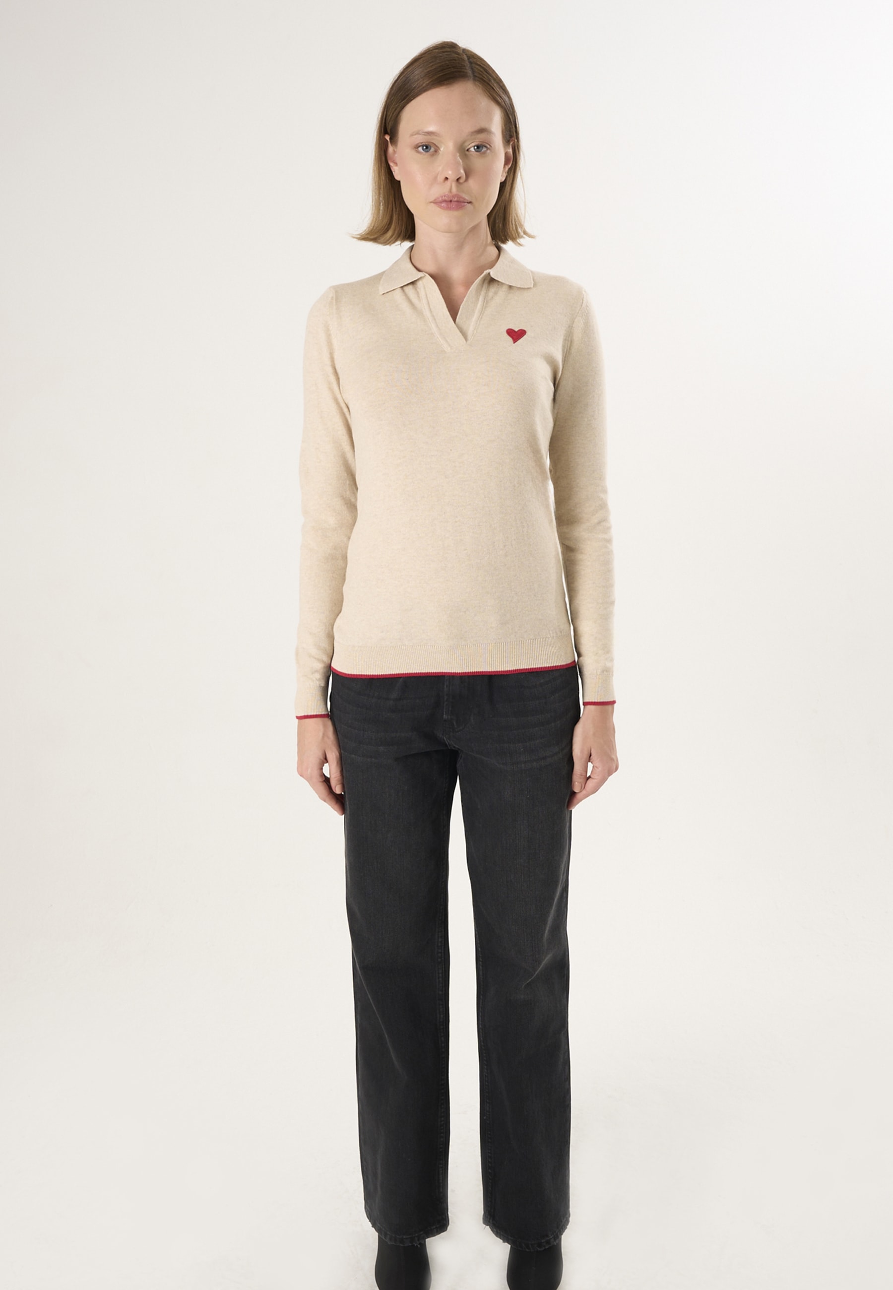 Felix Hardy Polokragenpullover »Strickpullover mit Rollkragen«