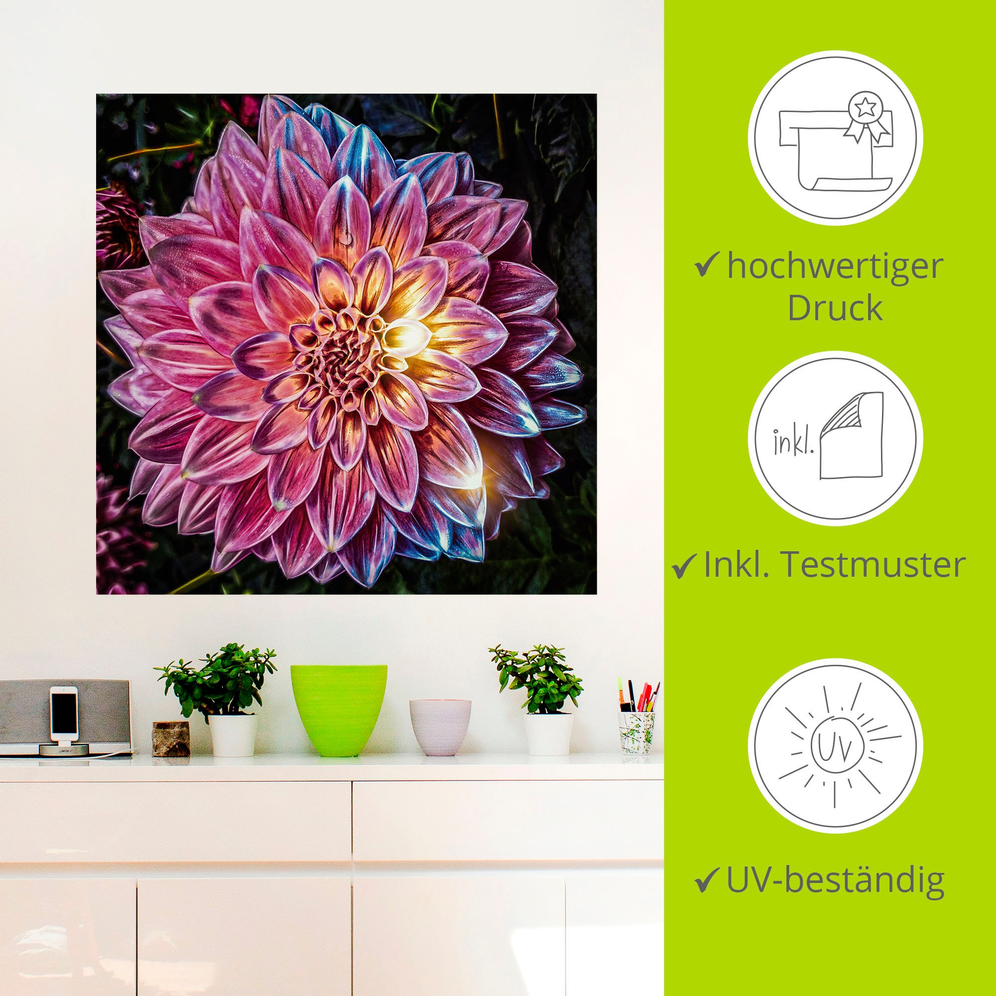Artland Wandbild »Lila Blüte beleuchtet«, Blumenbilder, (1 St.), als Alubild, Leinwandbild, Wandaufkleber oder Poster in versch. Größen