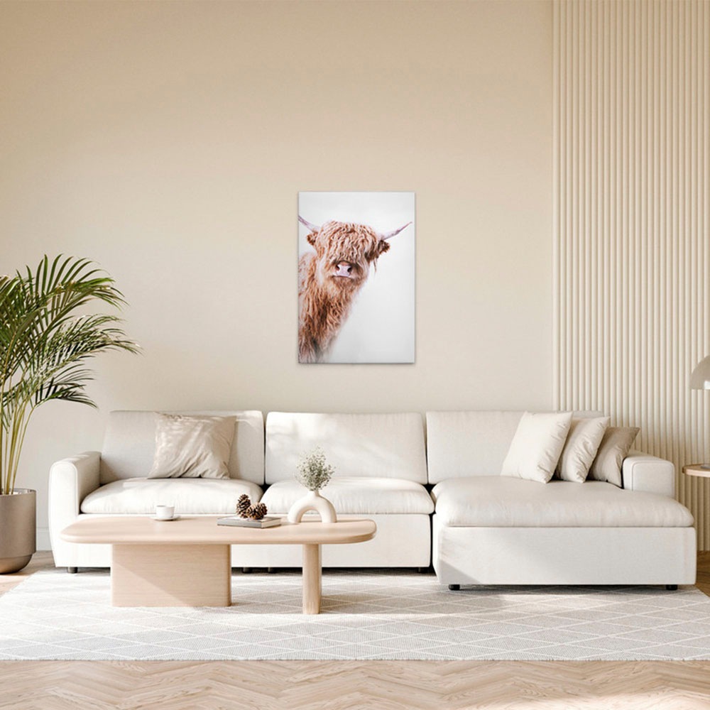 A.S. Création Leinwandbild »Highland Cattle 2 - Wandbild Weiß Braun Keilrah günstig online kaufen