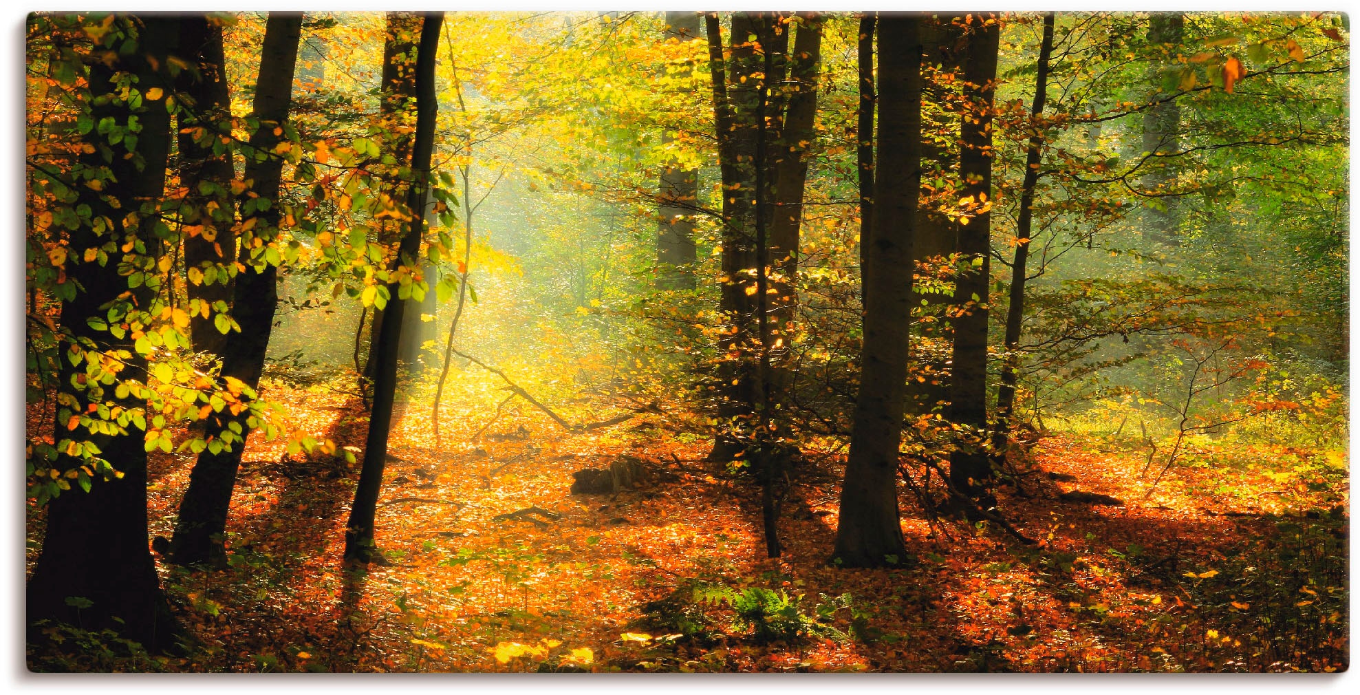 Artland Wandbild »Herbstlicht im Wald«, Wald, (1 St.), als Leinwandbild, Po günstig online kaufen