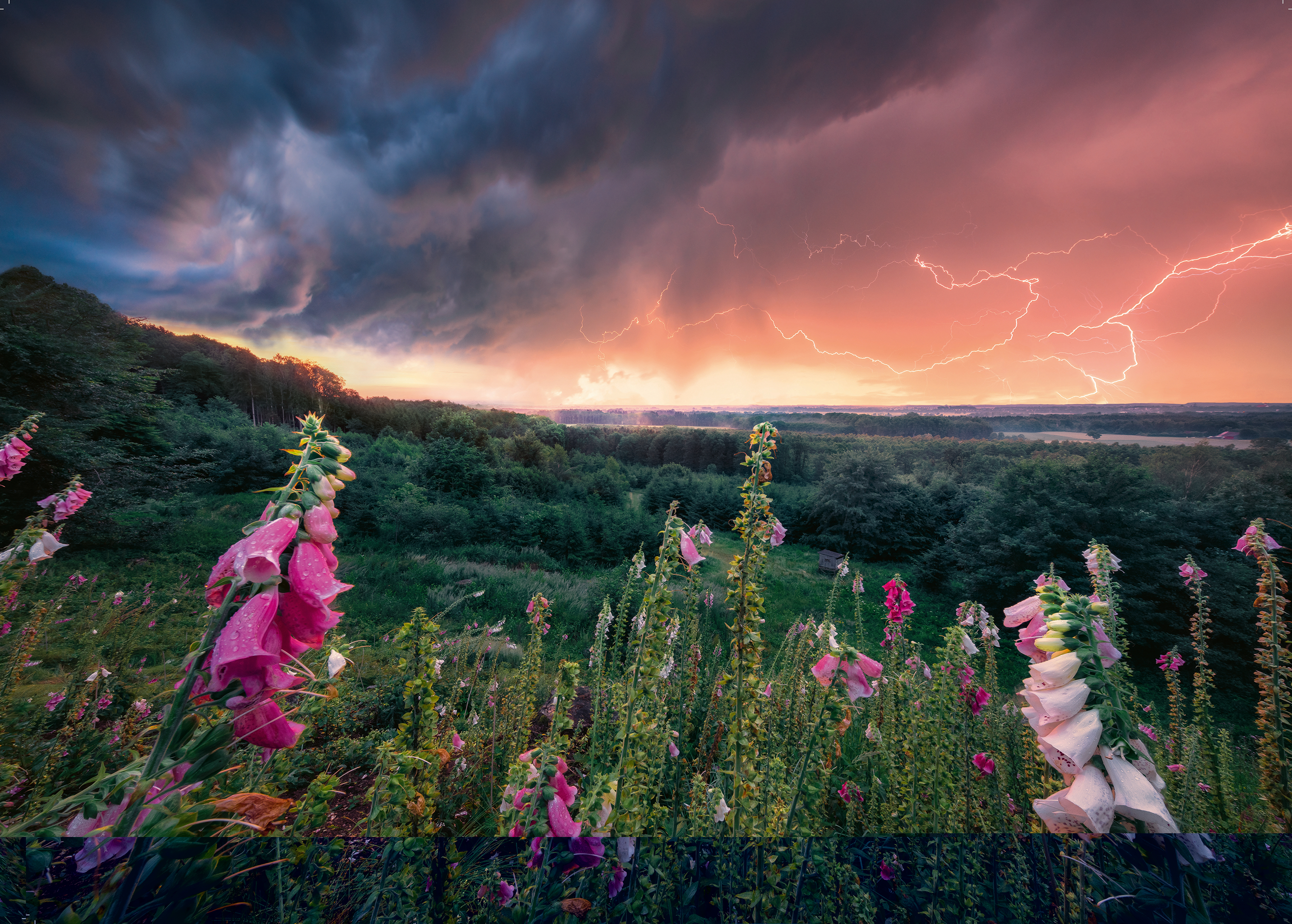 Ravensburger Puzzle »power of nature, Ein Sturm zieht auf«, Made in Germany