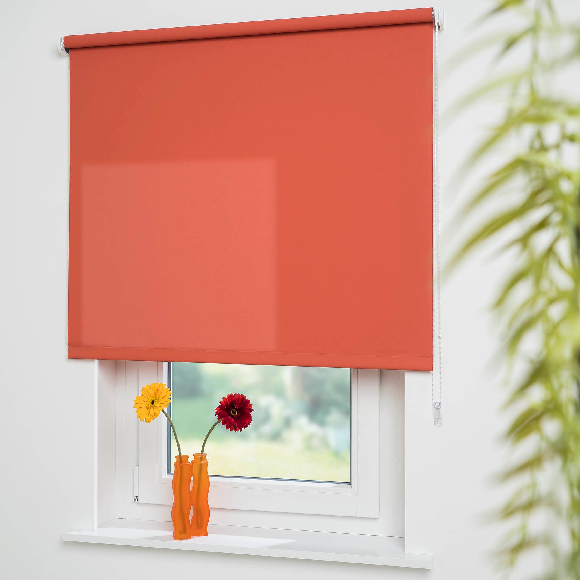Liedeco Seitenzugrollo »Uni«, Lichtschutz, mit Bohren, freihängend, Welle 3 günstig online kaufen