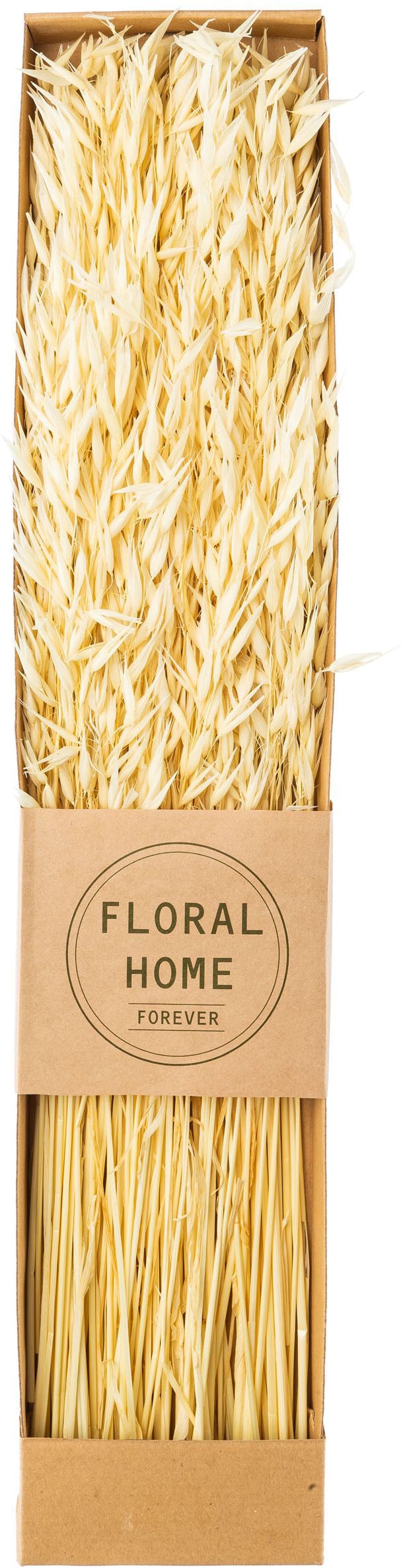 Creativ green Trockenblume »Trockenblumen-Bündel«