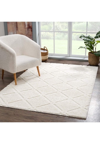 Carpet City Hochflor-Teppich »Focus«, rechteckig, besonders weich, Uni Farben,... kaufen