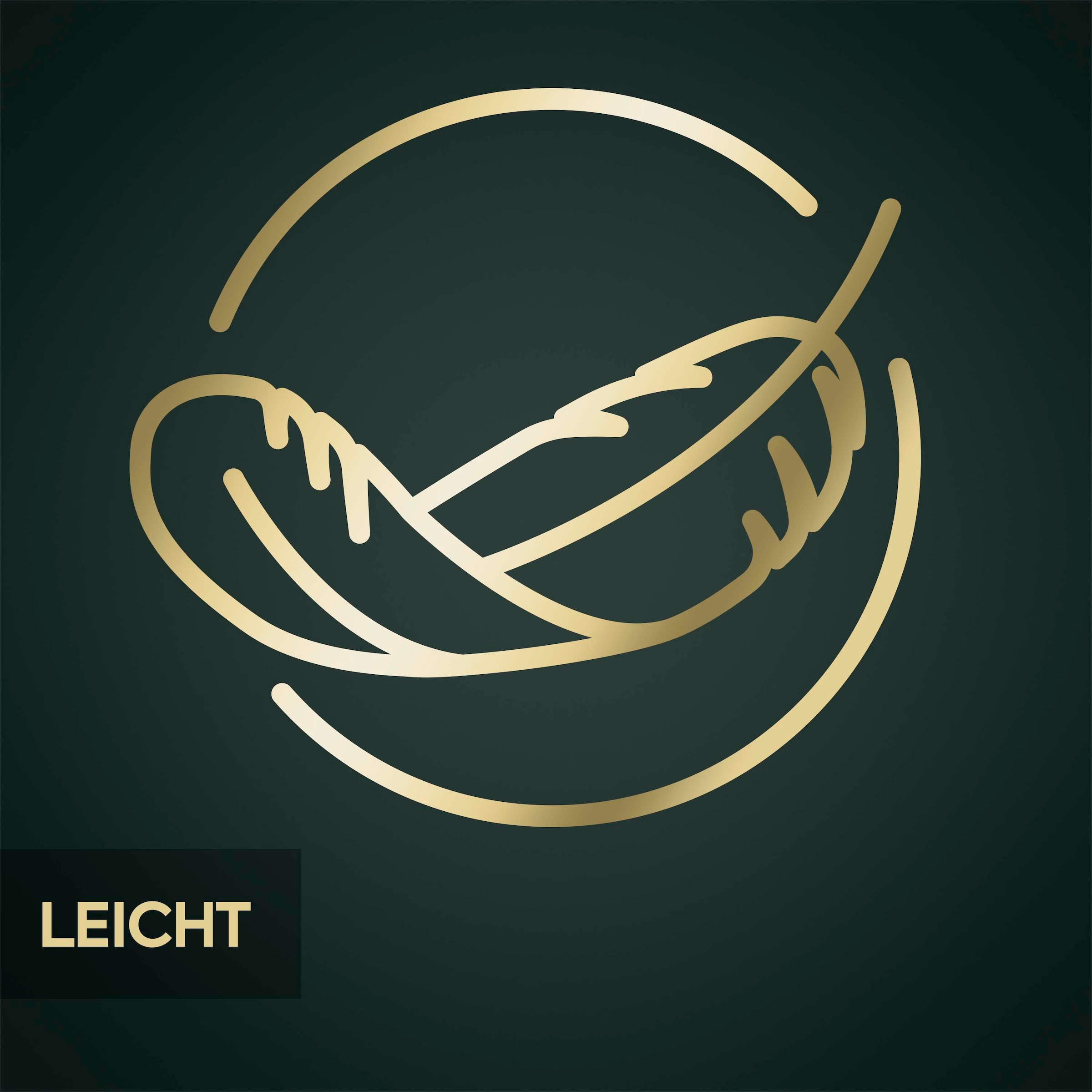 BaByliss Haartrockner »Air Power Pro D6555DE« 1.600 W 3 Aufsätze Hochgeschwindigkeits-Digitalmotor , Leicht, Föhn mit 3 Aufsätzen