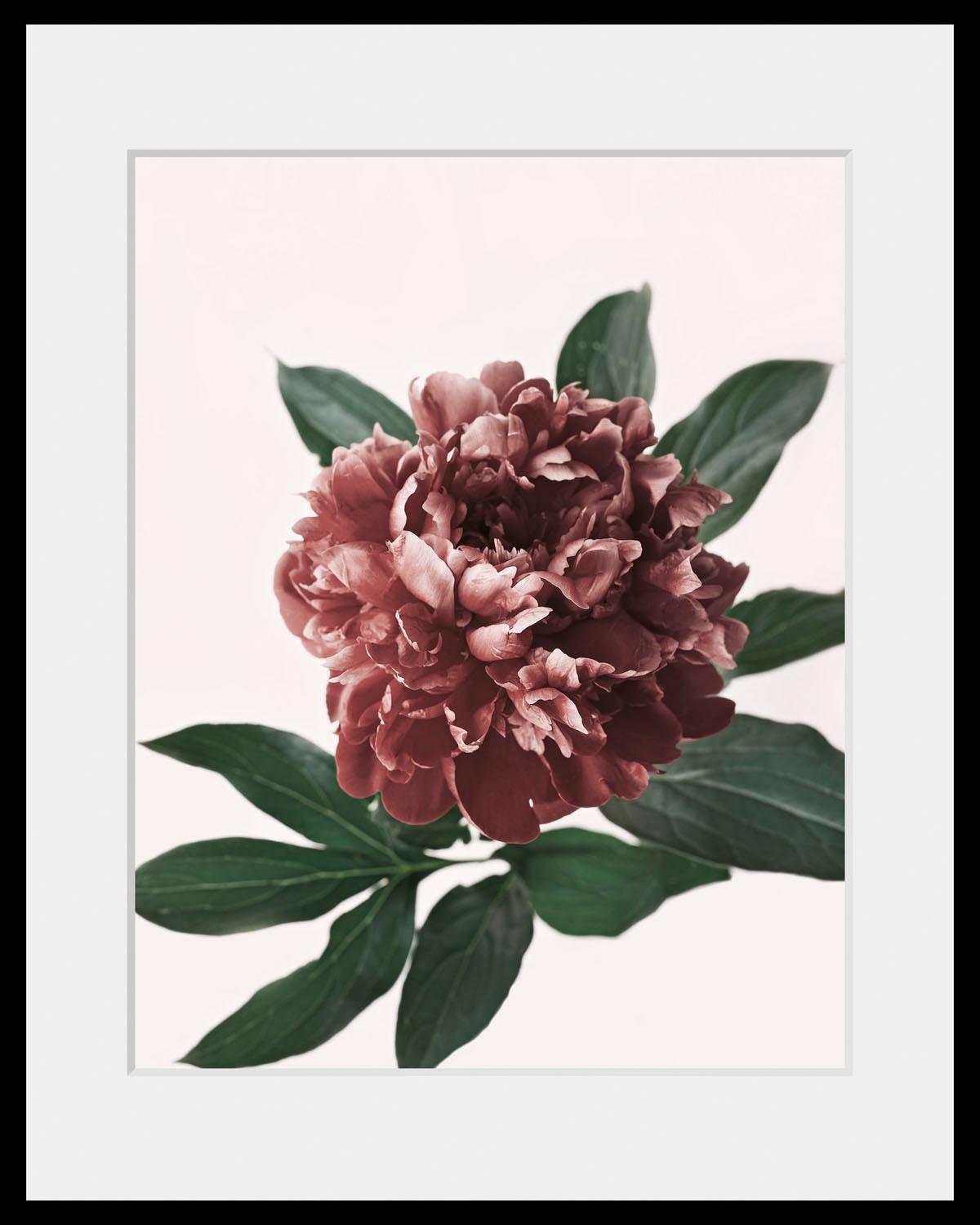 queence Bild »Corinna«, (1 St.), HD Premium Poster-Druck inkl. Holzrahmen günstig online kaufen