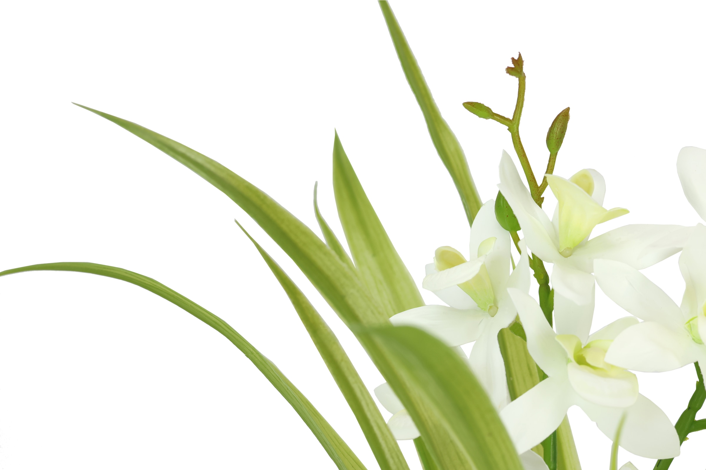 I.GE.A. Kunstblume »Kunstblume Schmetterling Orchidee mit Keramiktopf«, Mit Blätter Luftwurzeln Blume Kunstorchidee Phalaenopsis Kunstpflanze