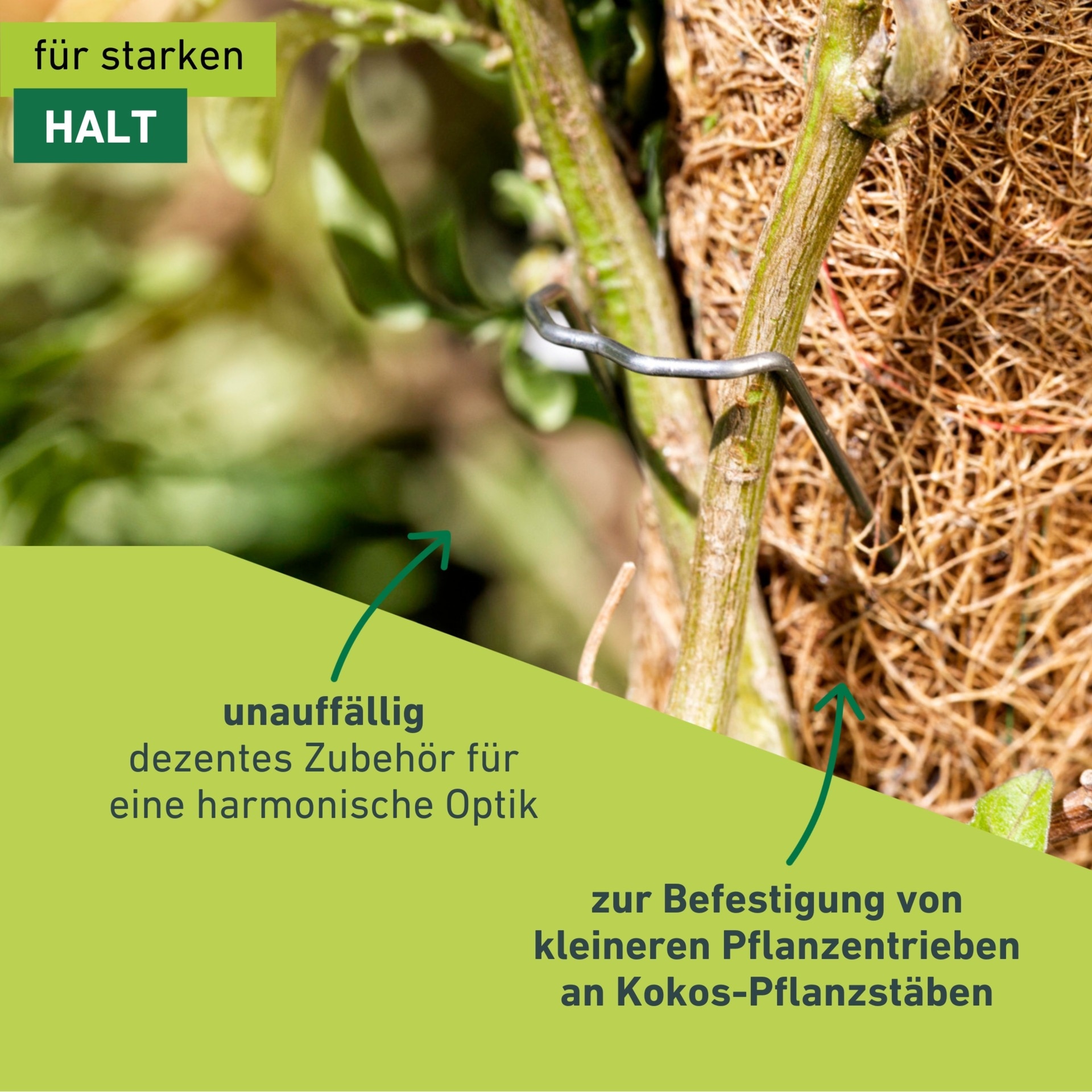 Windhager Rankhilfe »Pflanzenstecker aus Metall, 50 Stk.« zur Befestigung von Pflanzentrieben an Kokos-Pflanzstäben