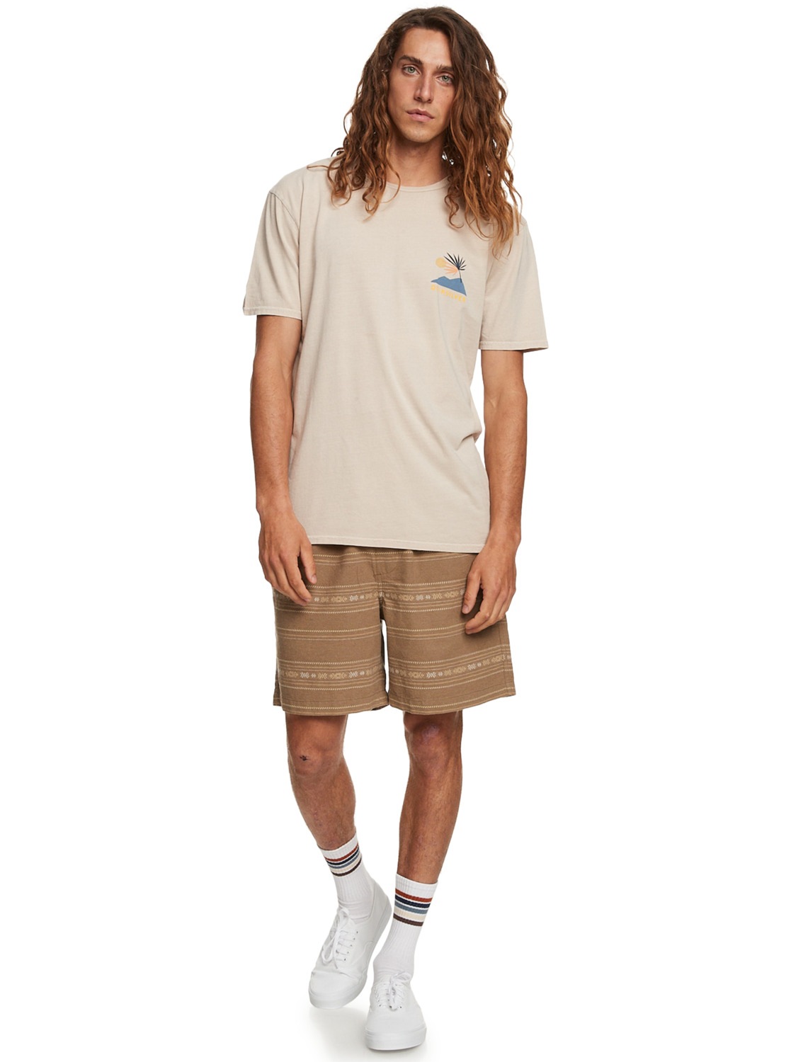 4. Bild von Quiksilver Shorts »Taxer Jacquard«