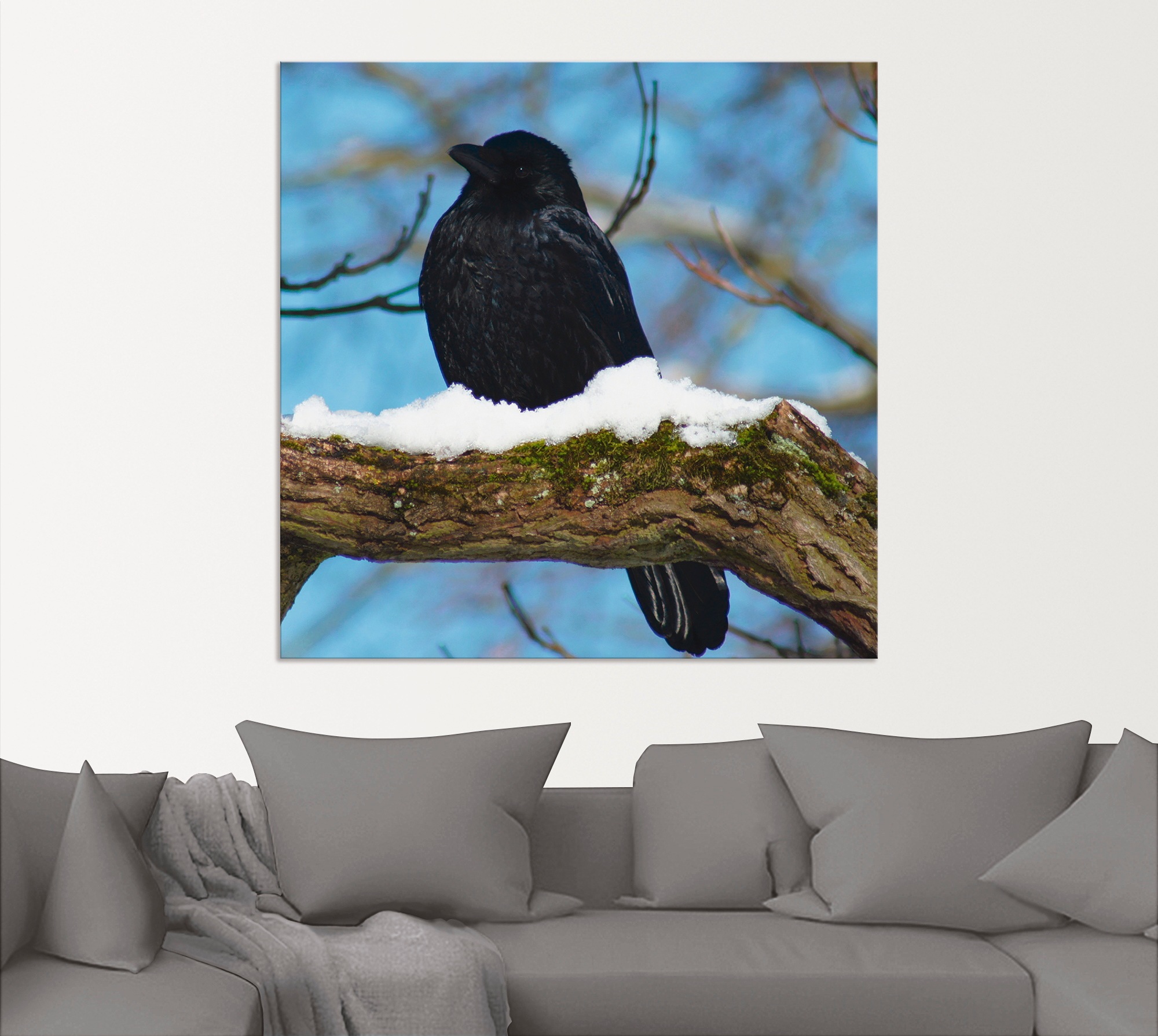 Artland Alu-Dibond-Druck »Rabe im Winter«, Vögel, (1 St.), für Innen- und Außenbereich geeignet, Outdoorbild