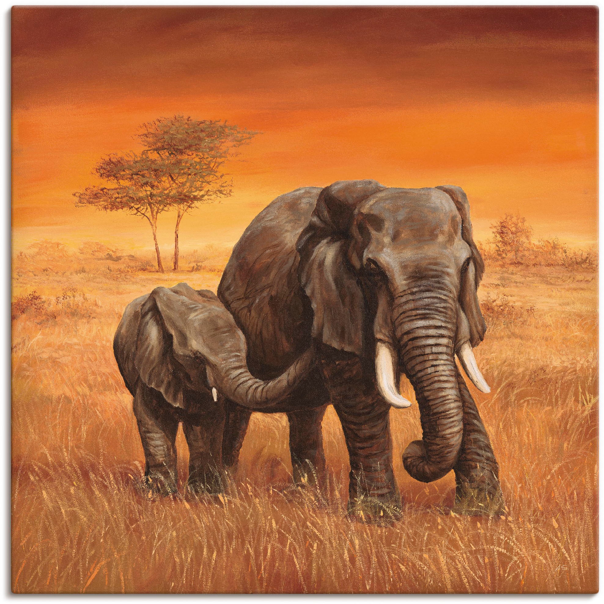 Artland Wandbild »Elefanten II« Wildtiere 1 Stk. tlg. als Alubild, Outdoorb günstig online kaufen