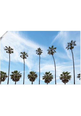 Artland Wandbild »Palmen an der Küste von La Jolla«, Baumbilder, (1 St.), in vielen... kaufen
