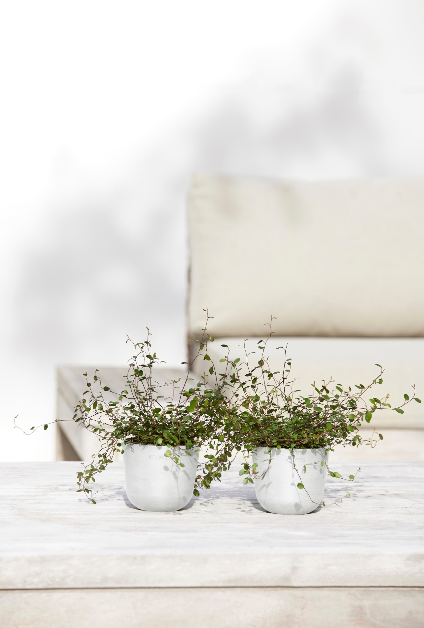 ECOPOTS Blumentopf »Oslo Mini 11,5 Weiß« für den Innenbereich