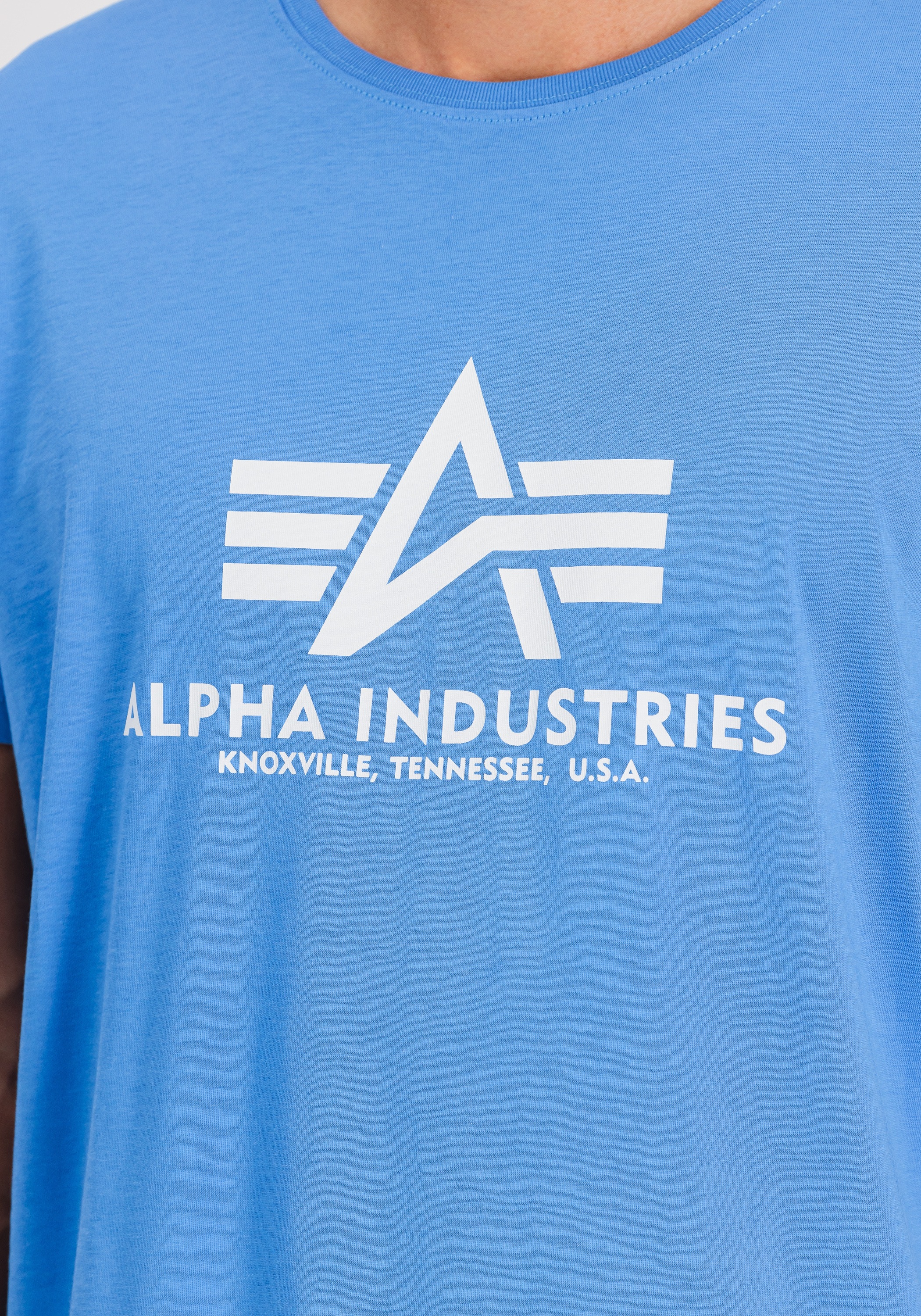 Alpha Industries T-Shirt »Basic T-Shirt BL«