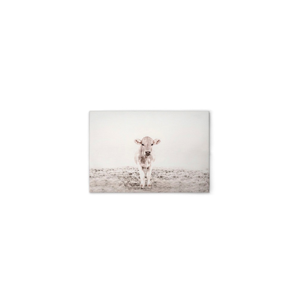 A.S. Création Leinwandbild »Highland Cattle 3 - Wandbild Weiß Creme Keilrah günstig online kaufen