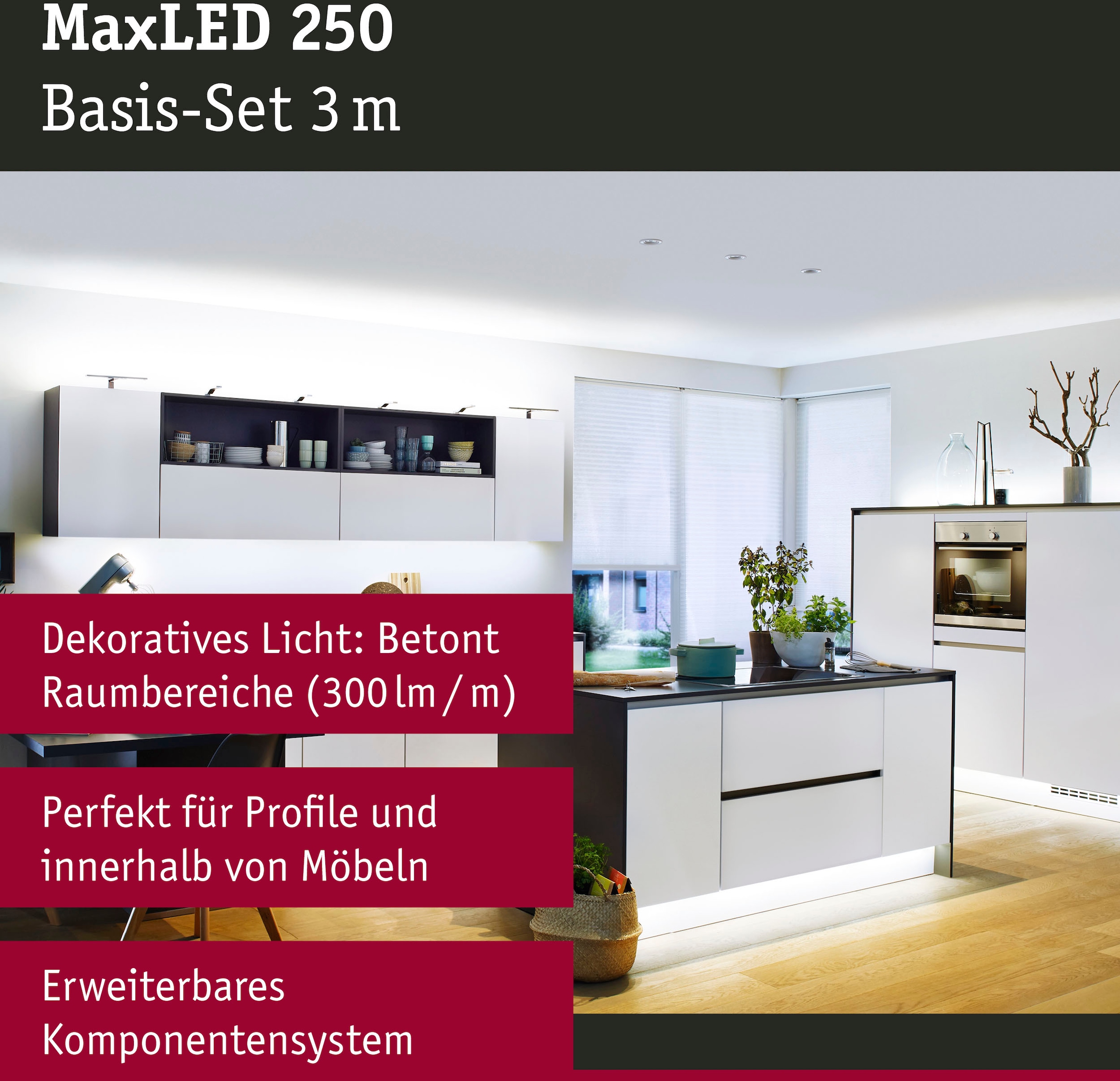 Paulmann LED Stripe »MaxLED 250 Basisset unbeschichtet 3m Tageslichtweiß«, 1 St.-flammig