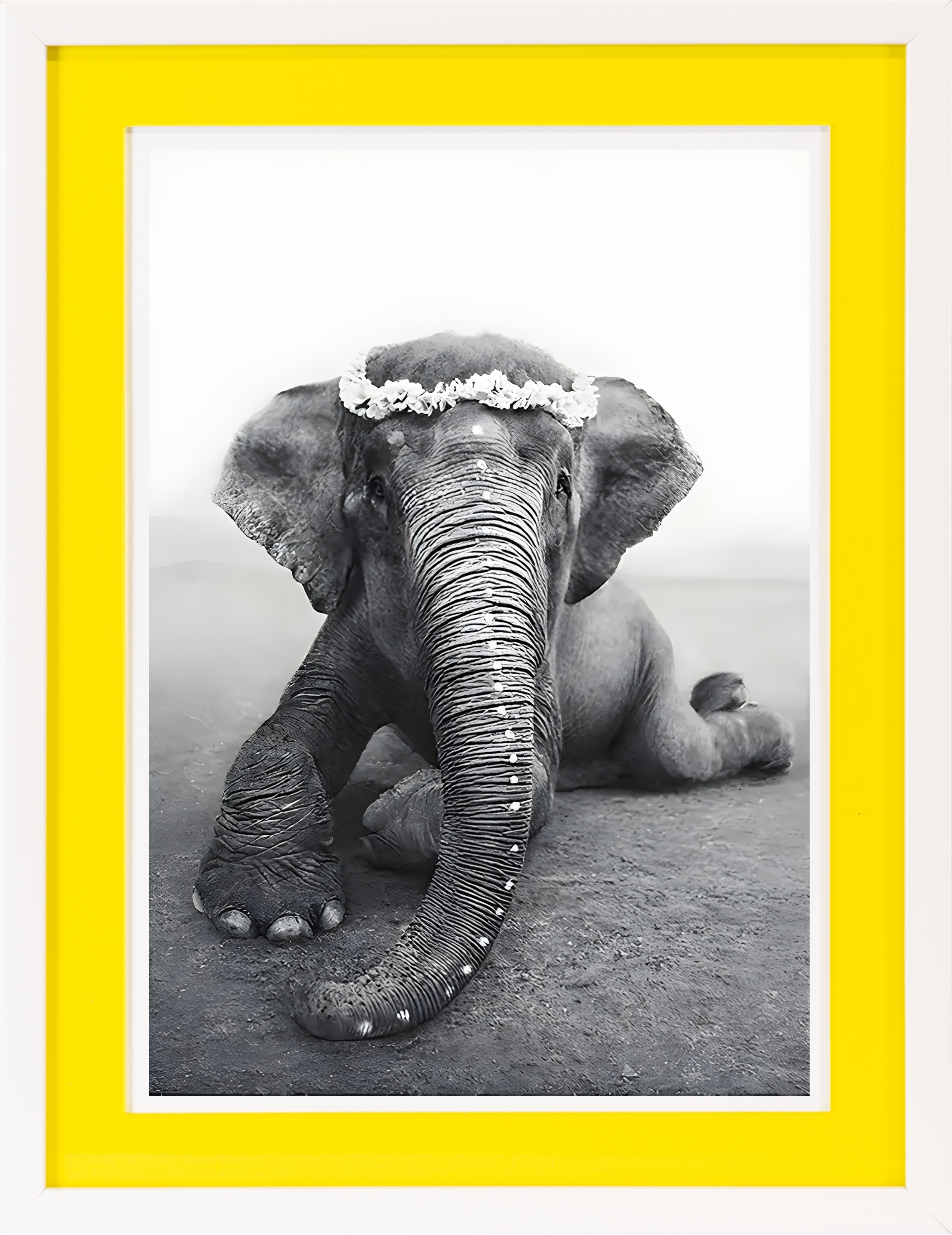 queence Bild mit Rahmen »Elefant« Elefant   Elefanten   Elefanten Bilder günstig online kaufen