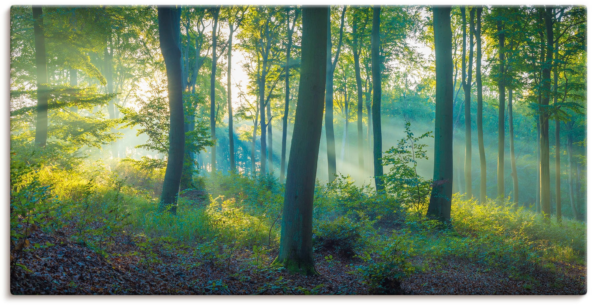 Artland Wandbild »Wald Panorama«, Waldbilder, (1 St.), als Alubild, Outdoor günstig online kaufen