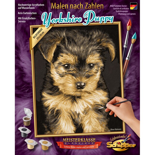 Schipper Malen nach Zahlen »Meisterklasse Klassiker - Yorkshire Puppy«, Made  in Germany im Online-Shop kaufen