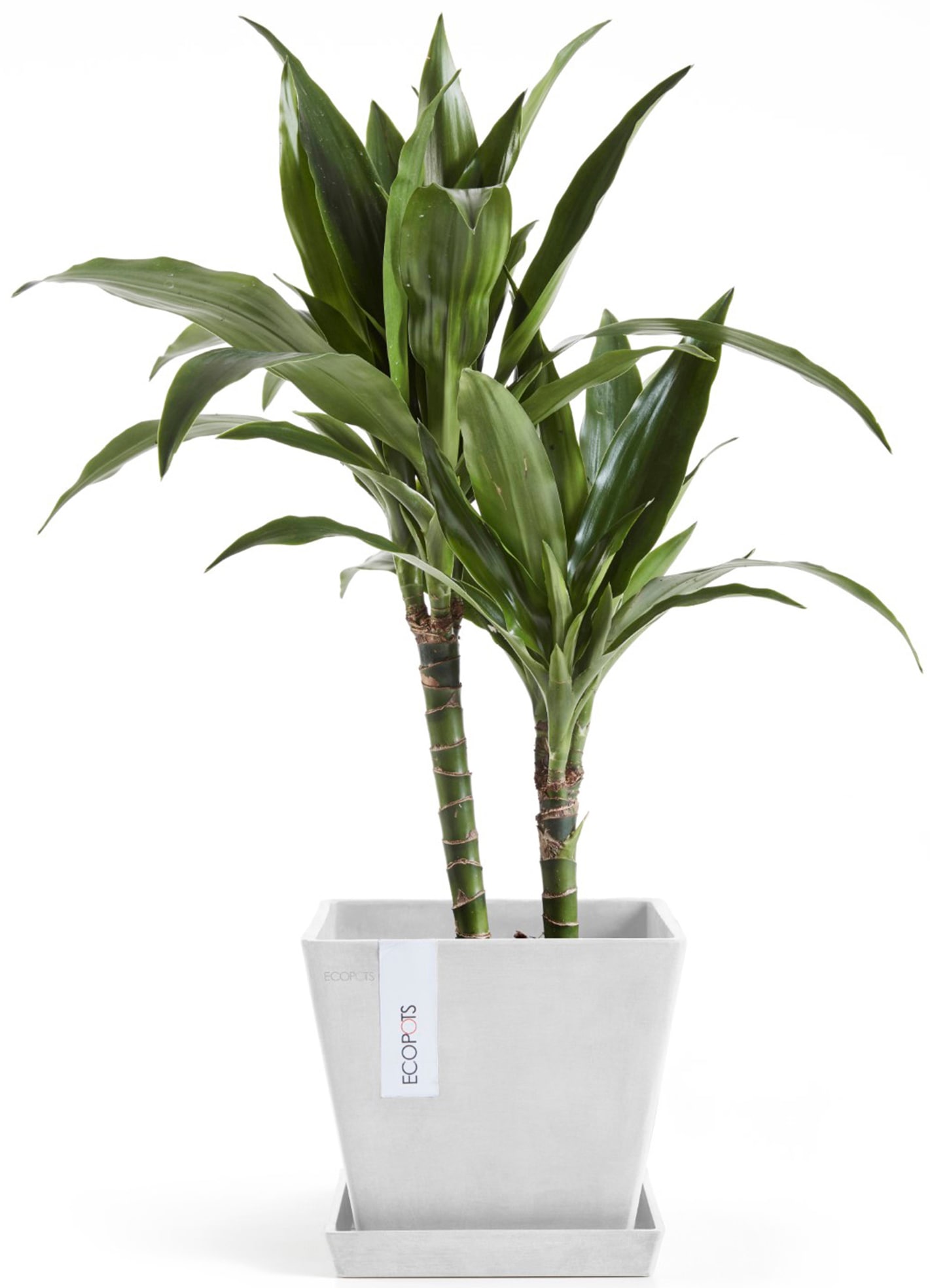 ECOPOTS Blumentopf »Rotterdam 20 Weiß« für innen und außen: frostsicher, bruchsicher und lichtbeständig