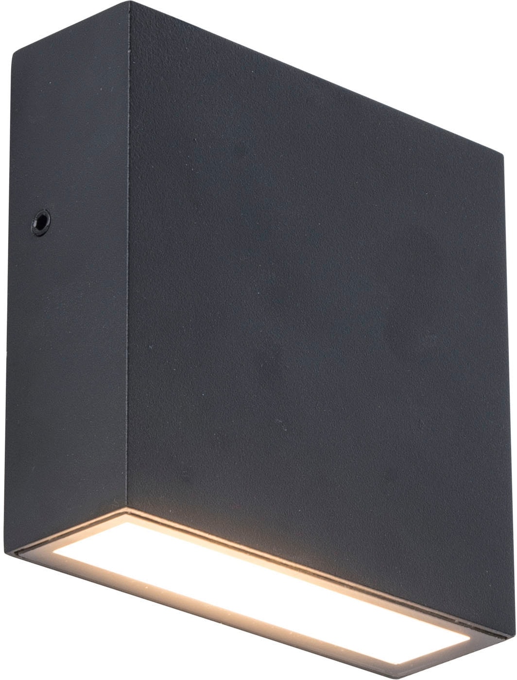 LUTEC LED Außen-Wandleuchte »GEMINI XF«, Leuchtmittel LED-Modul | LED fest integriert