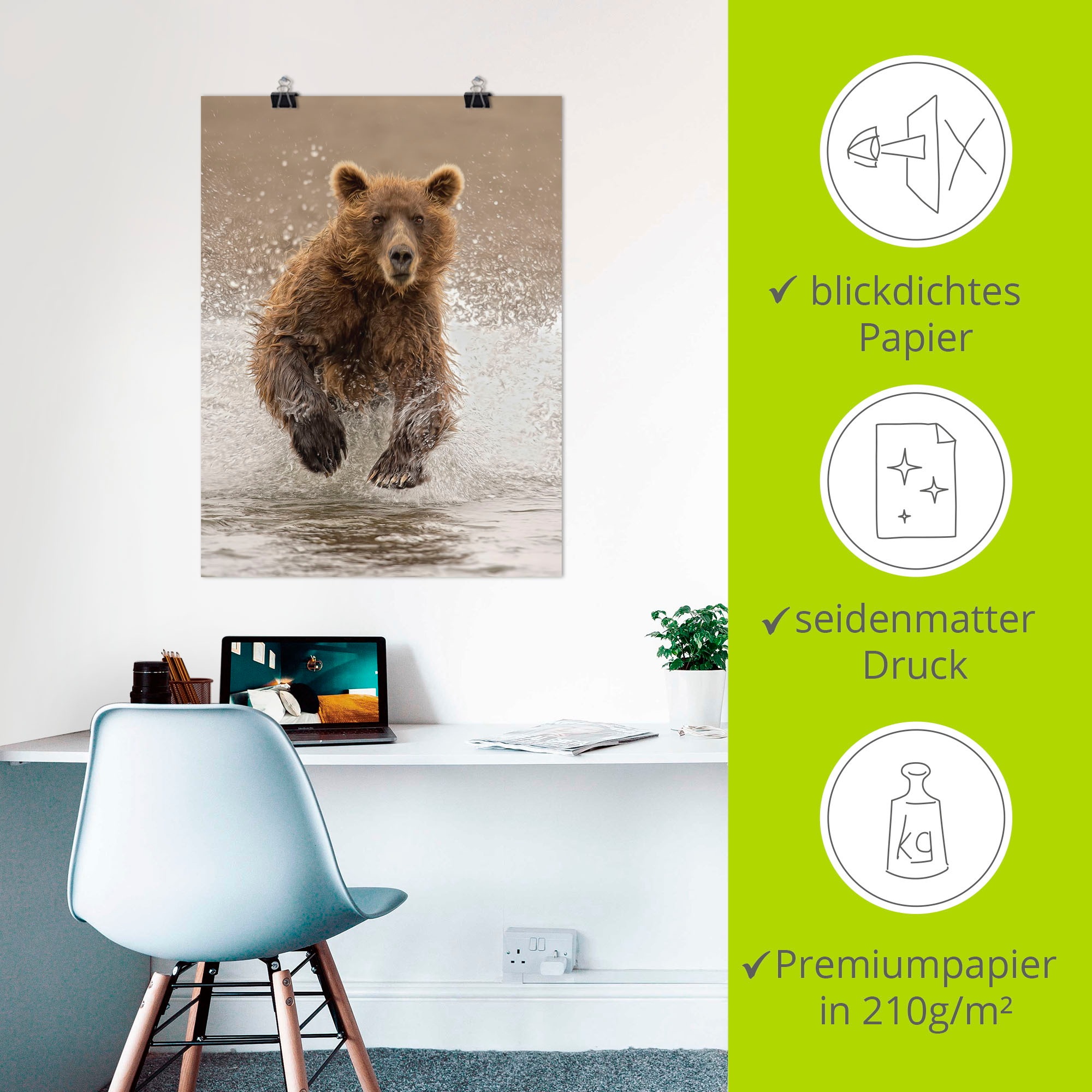 Artland Poster »Bären beim Spielen II«, Wildtiere, (1 St.), als Alubild, Leinwandbild, Wandaufkleber oder Poster in versch. Größen