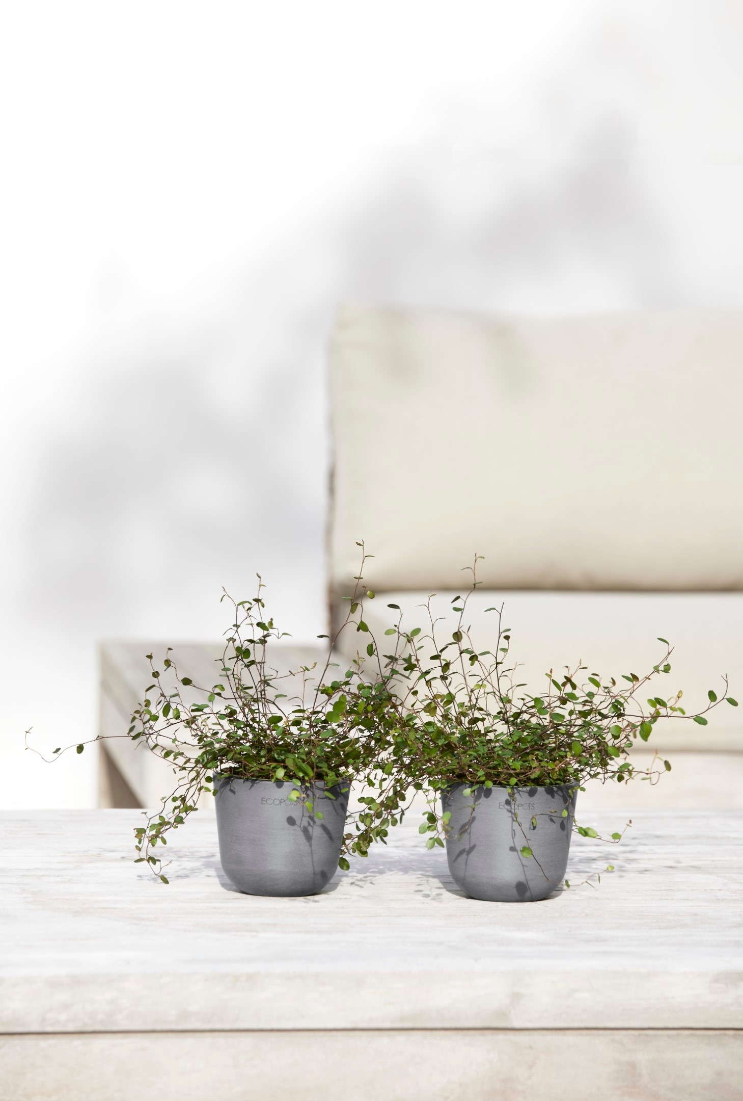 ECOPOTS Blumentopf »Oslo Mini 11,5 Grau« für den Innenbereich