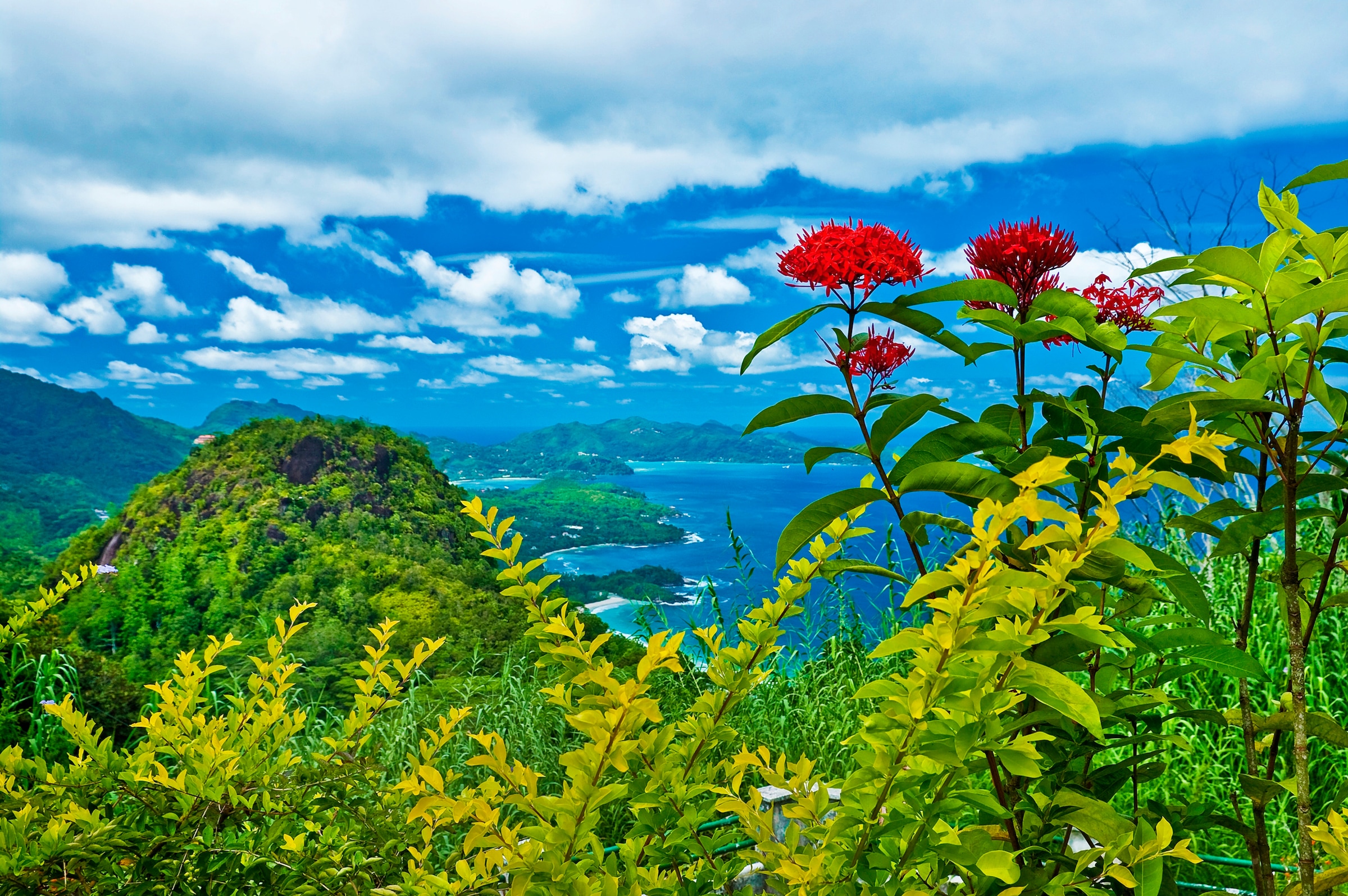 Papermoon Fototapete »INSEL-SEYCHELLEN BLUMEN KÜSTE GEBIRGE MEER PANORAMA« günstig online kaufen