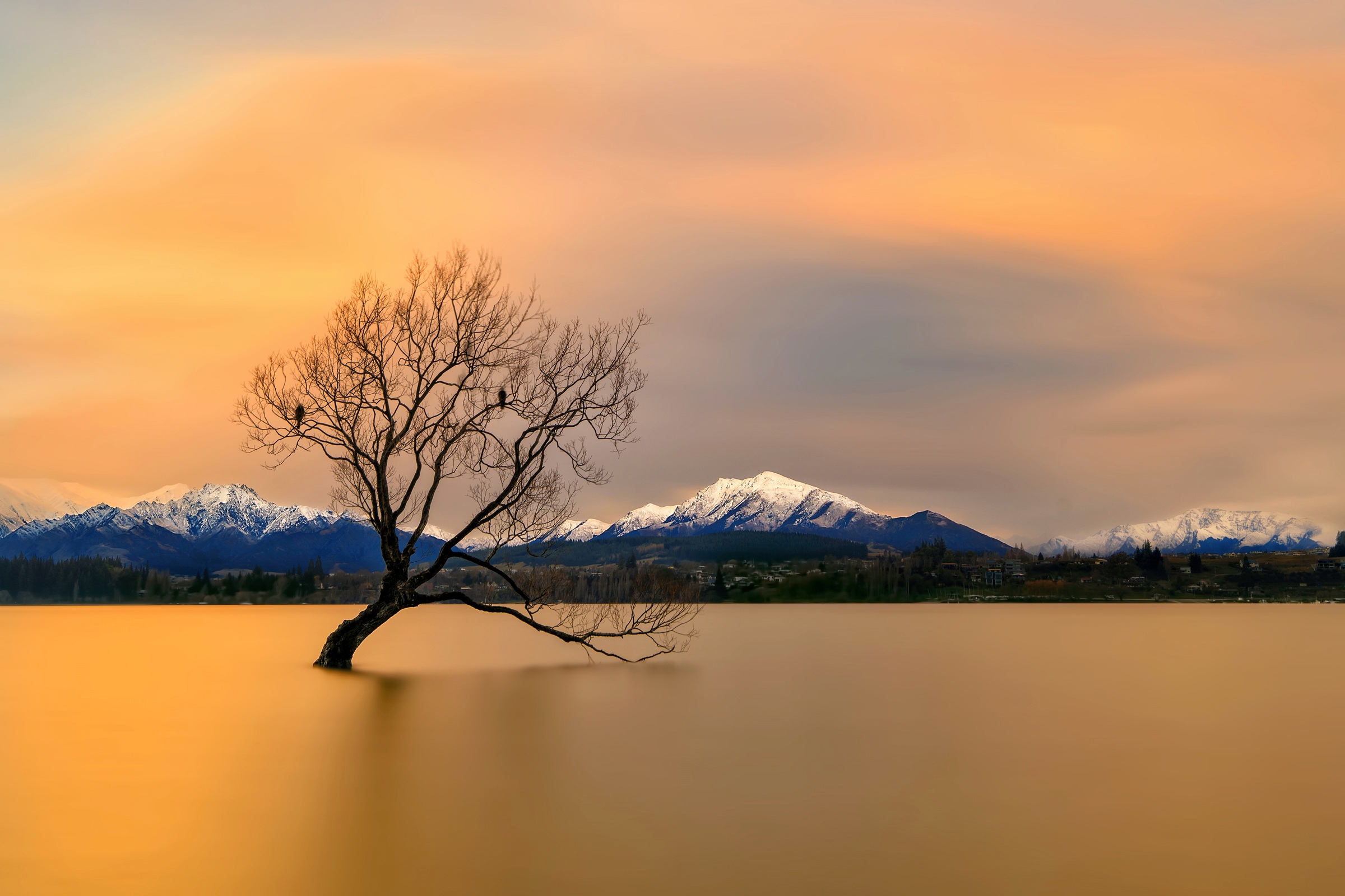 Papermoon Fototapete »Photo-Art HUA ZHU, MORGENGLÜHEN DES LAKE WANAKA« günstig online kaufen