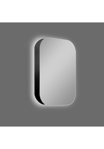 Talos Badezimmerspiegelschrank, oval, BxH: 40x60 cm, aus Alumunium und Echtglas, IP24,... kaufen