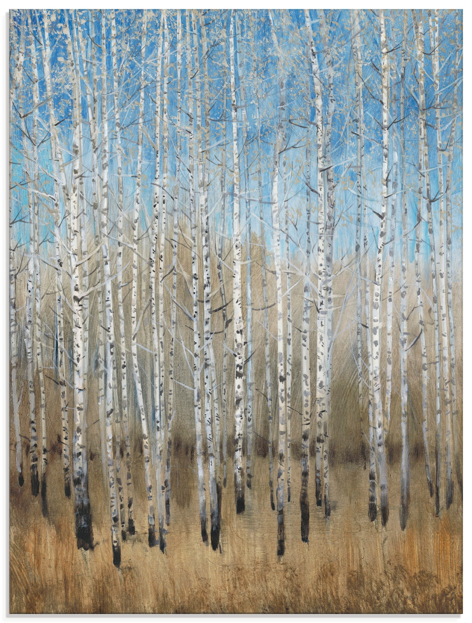 Artland Glasbild »Staubige blaue Birken II«, Wald, (1 St.), in verschiedene günstig online kaufen