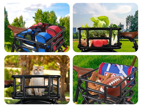 SachsenRad Fahrradkorb »Korb für C5 C5R S8 C3T«