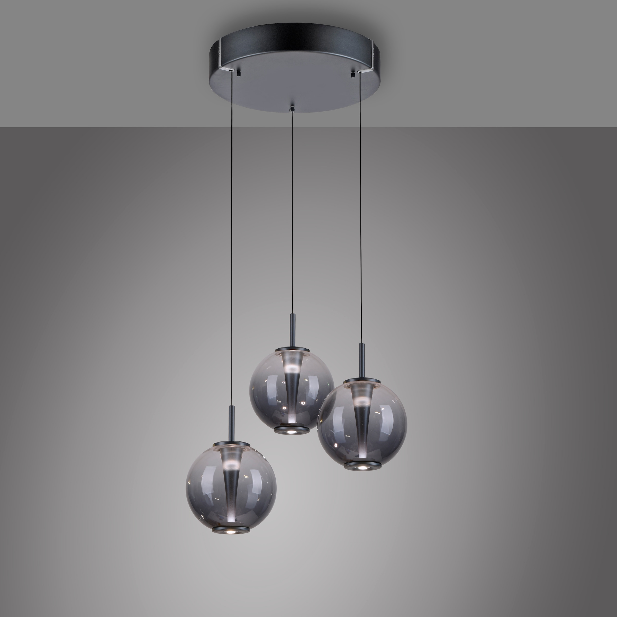 Neuhaus PURE LED Pendelleuchte »PURE E-Infinity« LED-Board 1 Stk. warmweiß - kaltweiß e-SLIDE® Funktion, CCT, dimmbar, Fernbedienung