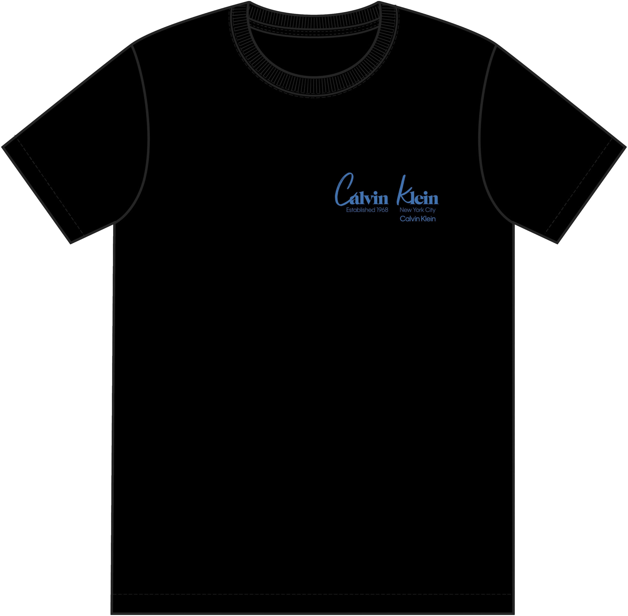 Calvin Klein Jeans T-Shirt »JEANS GRAPHICS« Regular fit mit Markenprint