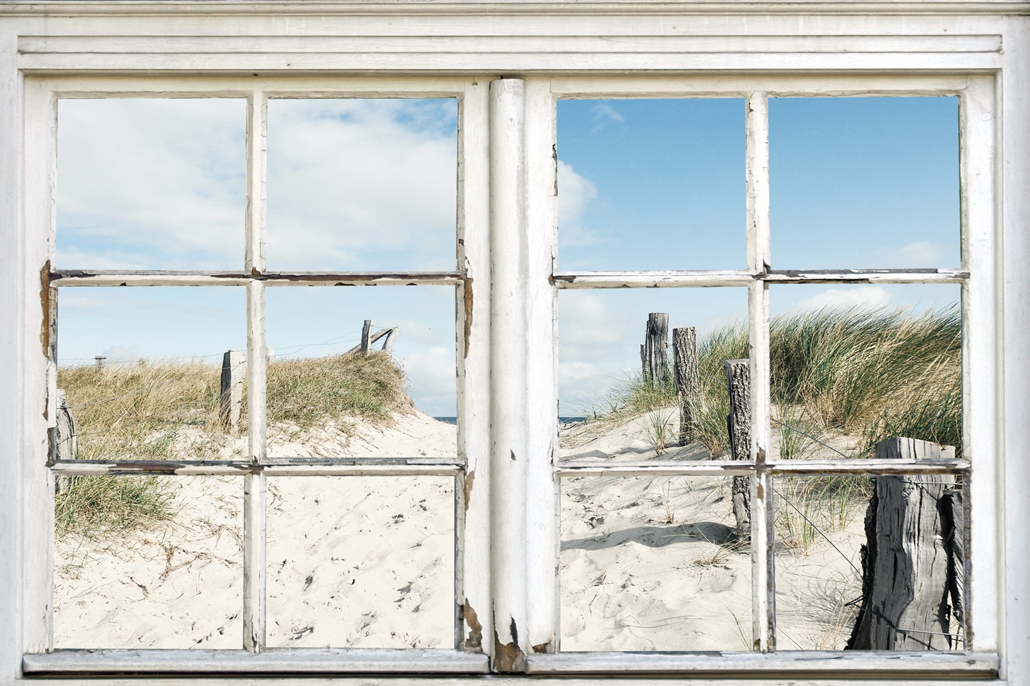 queence Leinwandbild »Norderney« Düne 1 Stk. tlg. Premium-Leinwandstoff günstig online kaufen