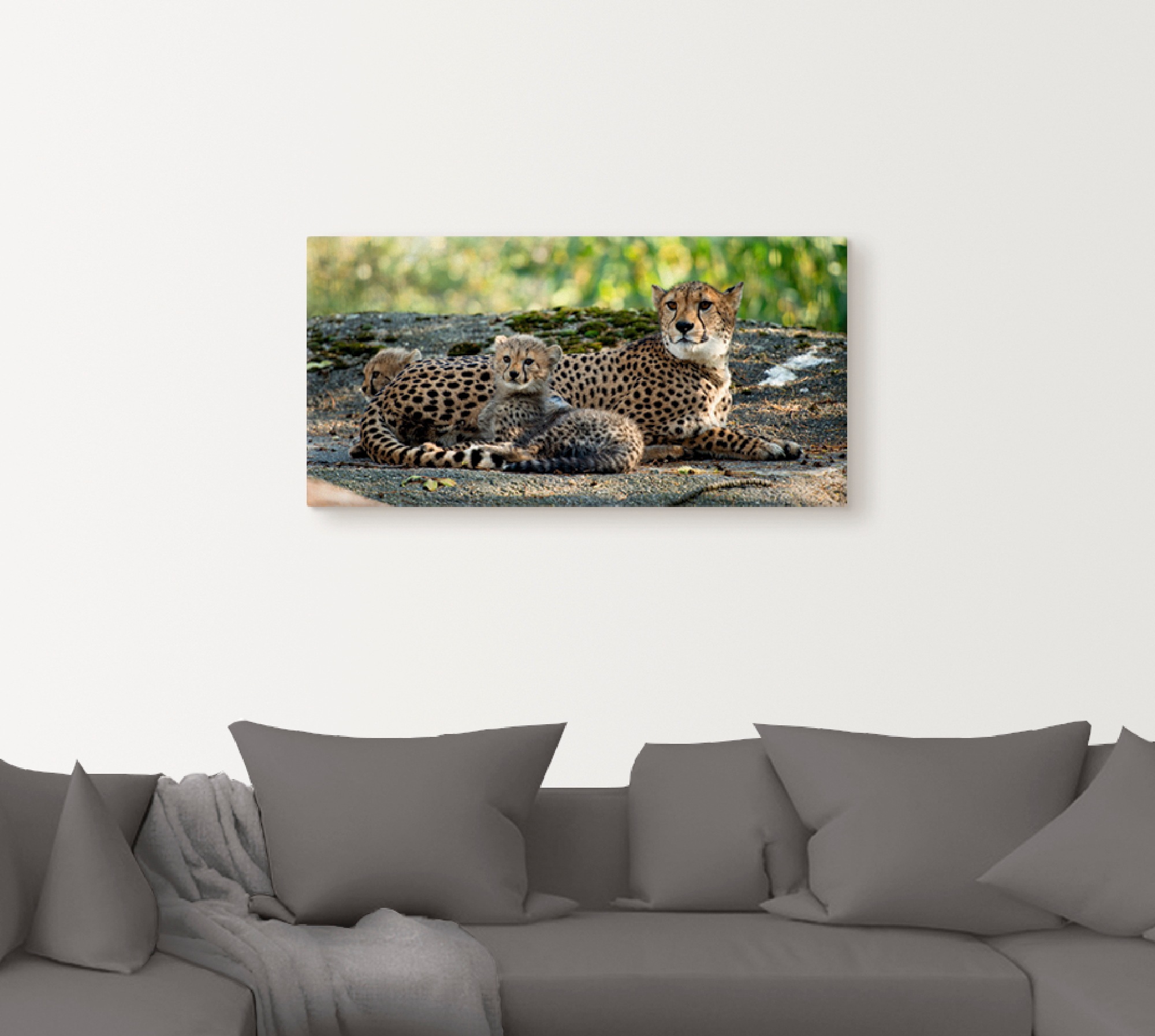 Artland Wandbild »Gepard 2« Wildtiere 1 Stk. tlg. als Leinwandbild, Poster, günstig online kaufen