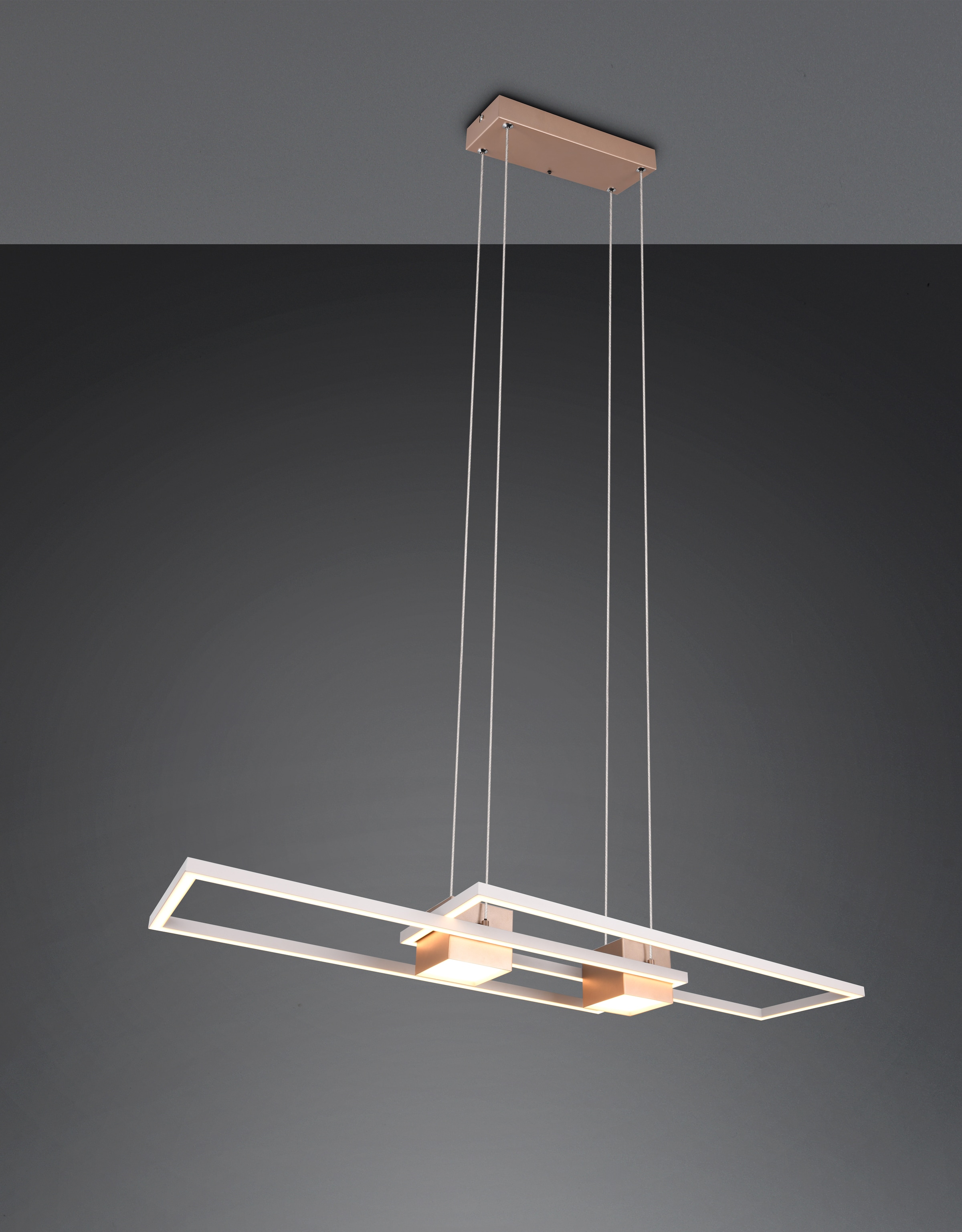 TRIO Leuchten LED Pendelleuchte »ALBANY, LED Hängelampe Wohnzimmer mit Fernbedienung, dimmbar, CCT«, 1 flammig, Leuchtmittel LED-Board | LED fest integriert, Lichtfarbe einstellbar, Memoryfunktion, Nachtlicht, up-and-down Licht