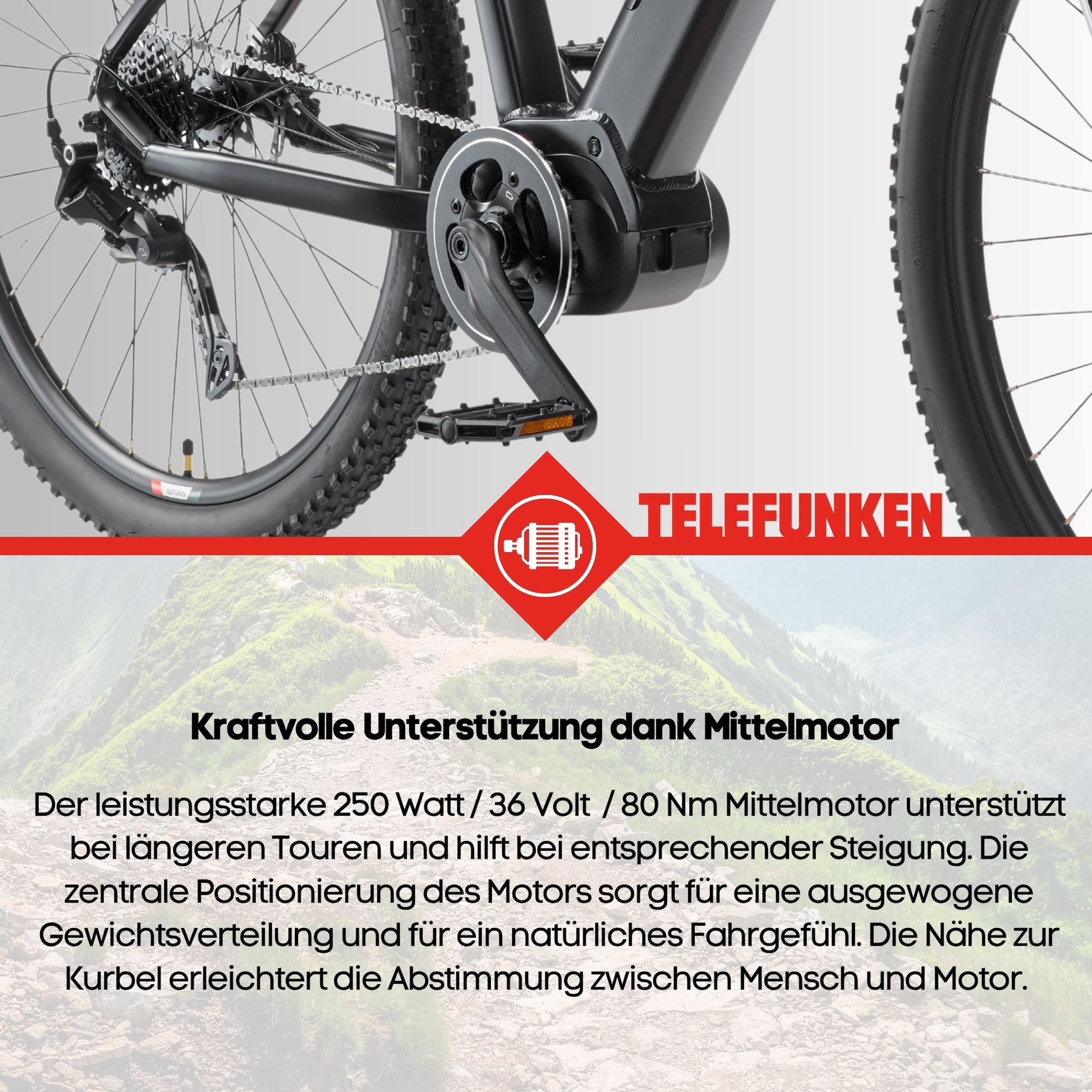 Telefunken »Aufsteiger MT925« 9 Gang Shimano Cues Schaltwerk Kettenschaltung Mittelmotor 250 W Pedelec, Elektrofahrrad, Damen u. Herren, E-MTB, Mountainbike, 29 Zoll