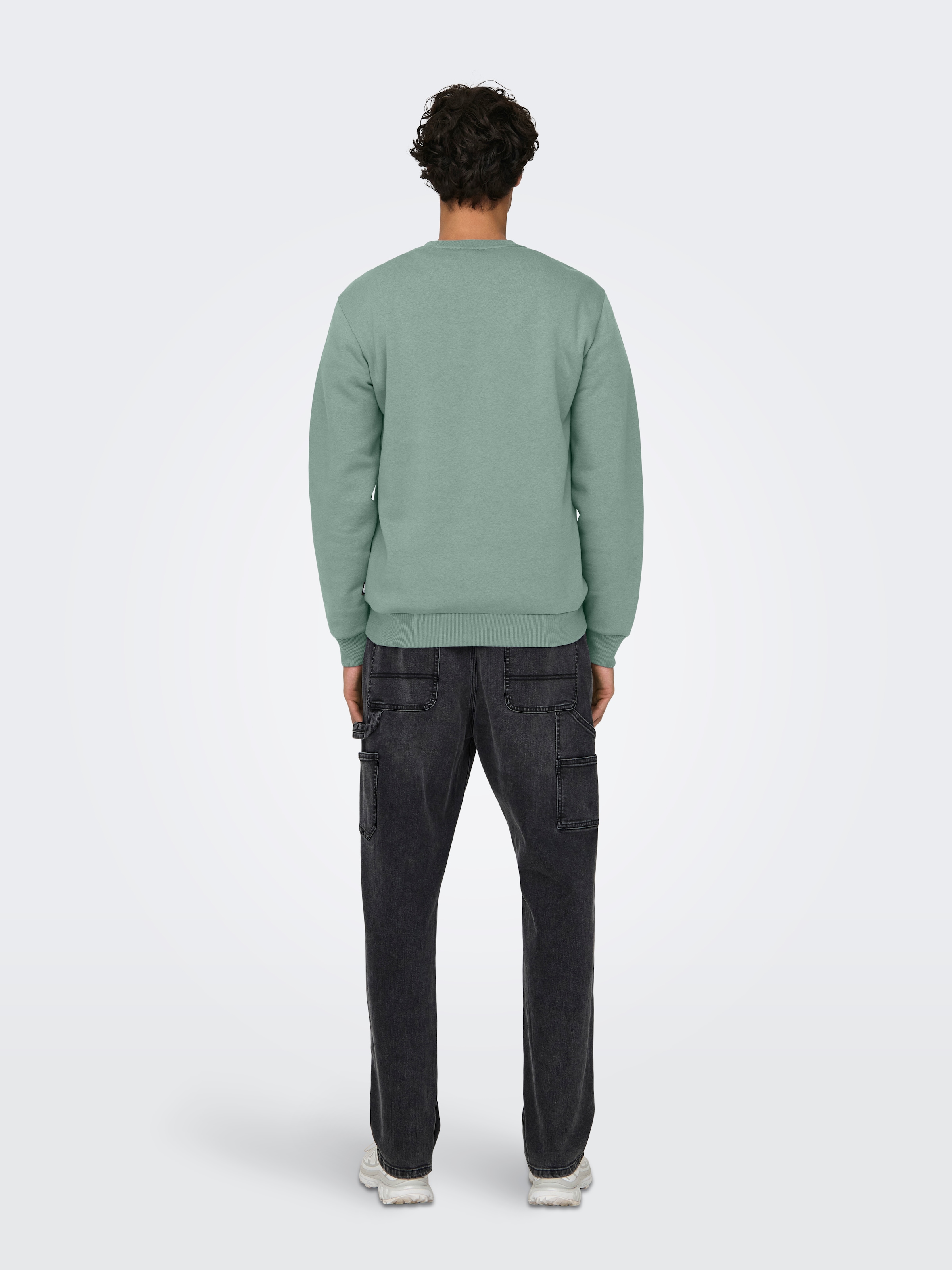 ONLY & SONS Sweatshirt »ONSCERES CREW NECK NOOS«