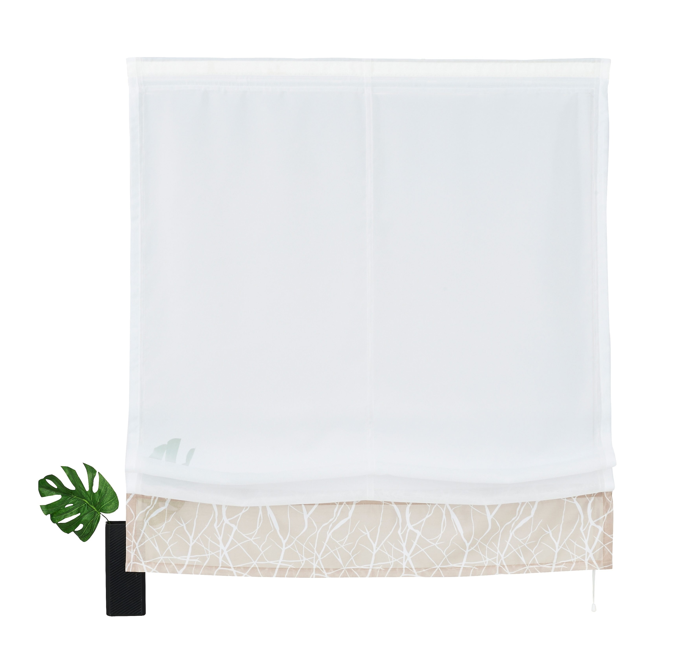 Voile, schnell my und Transparent, Raffrollo home Klettband, Polyester bequem bestellen »Camposa«, mit