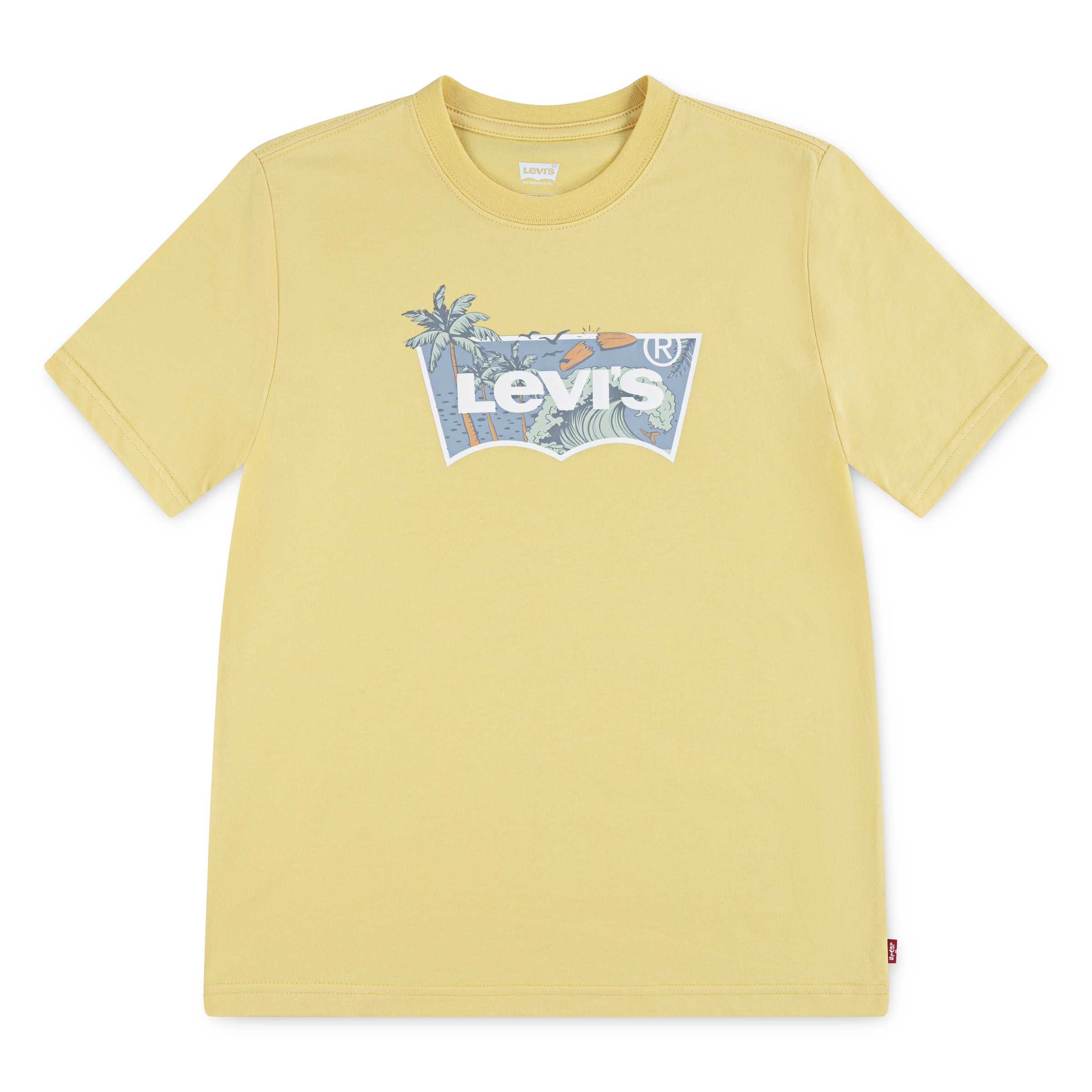 Levi's® Kids T-Shirt »LVB HIGH TIDE BATWING TEE« for Boys, mit Front-Print