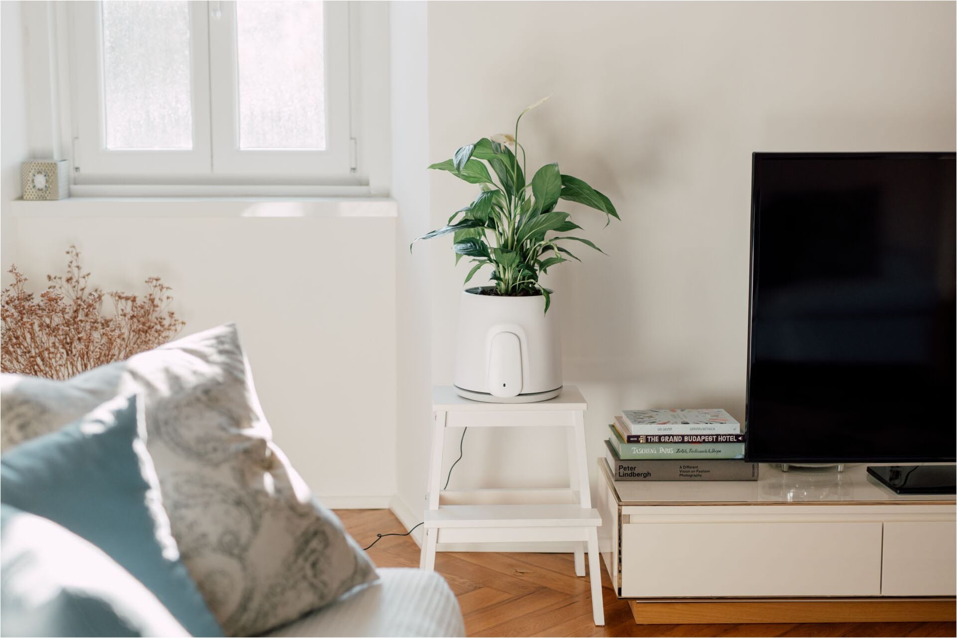 Vitesy Luftreiniger »Natede Smart – Smarte Luftreinigung und stilvoller Blumentopf«, für 20 m² Räume, Waschbarer Filter, App-Steuerung, Selbstbewässerung Blumentopf