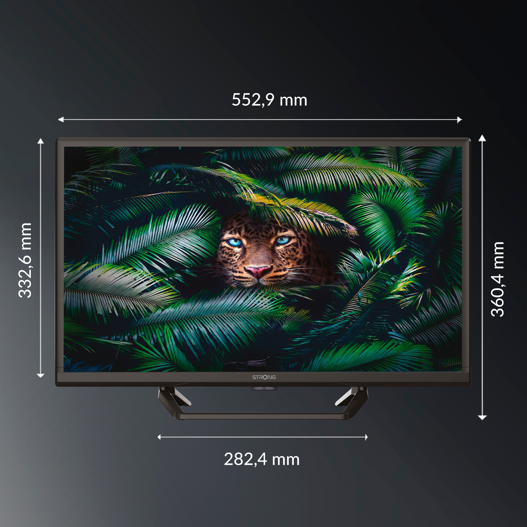Strong LED-Fernseher »SRT 24HE4023C«, HD ready, Video-Streaming: Netflix, Youtube, Amazon Prime Video, Disney+